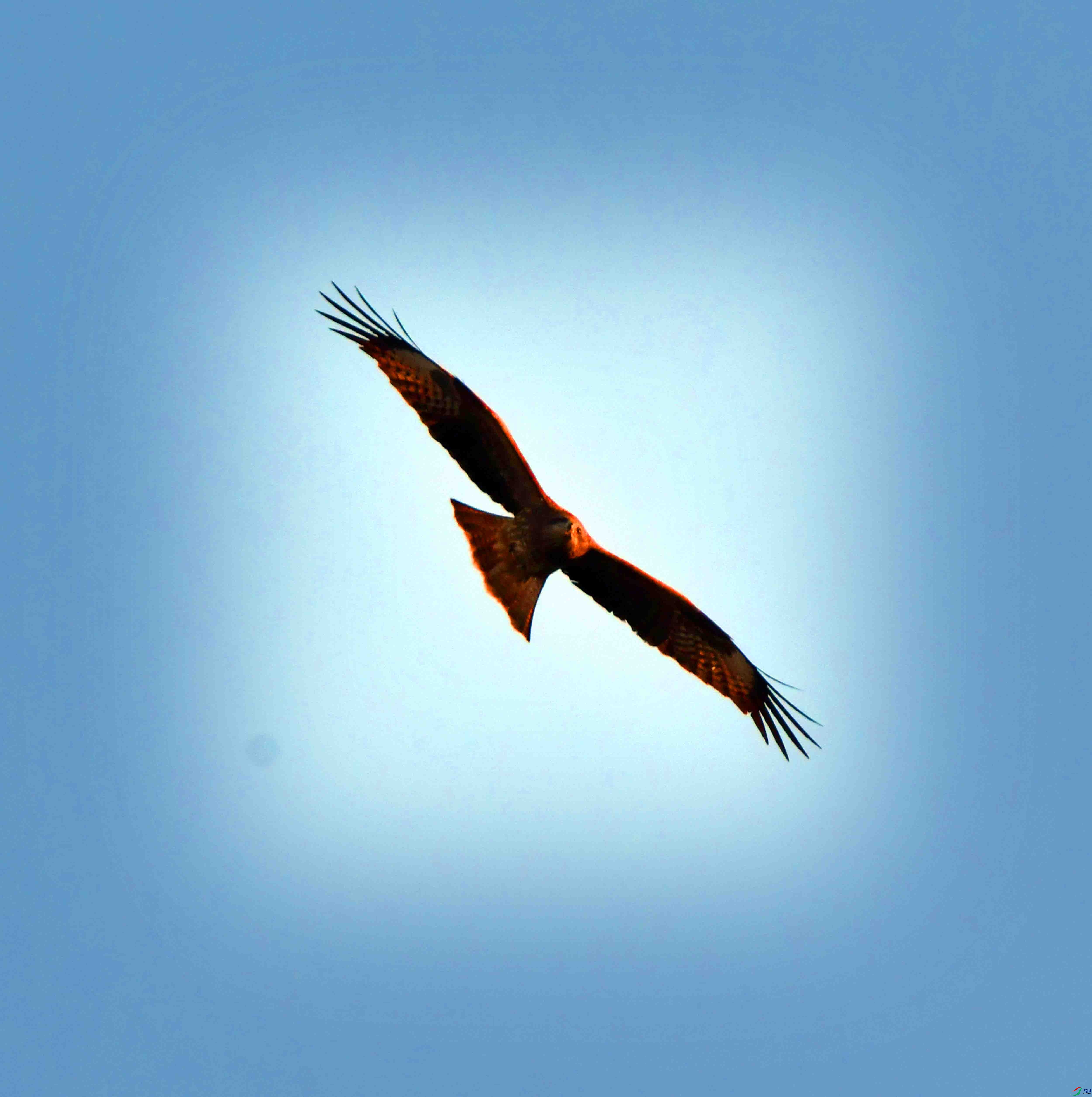 DSC_6298.JPG