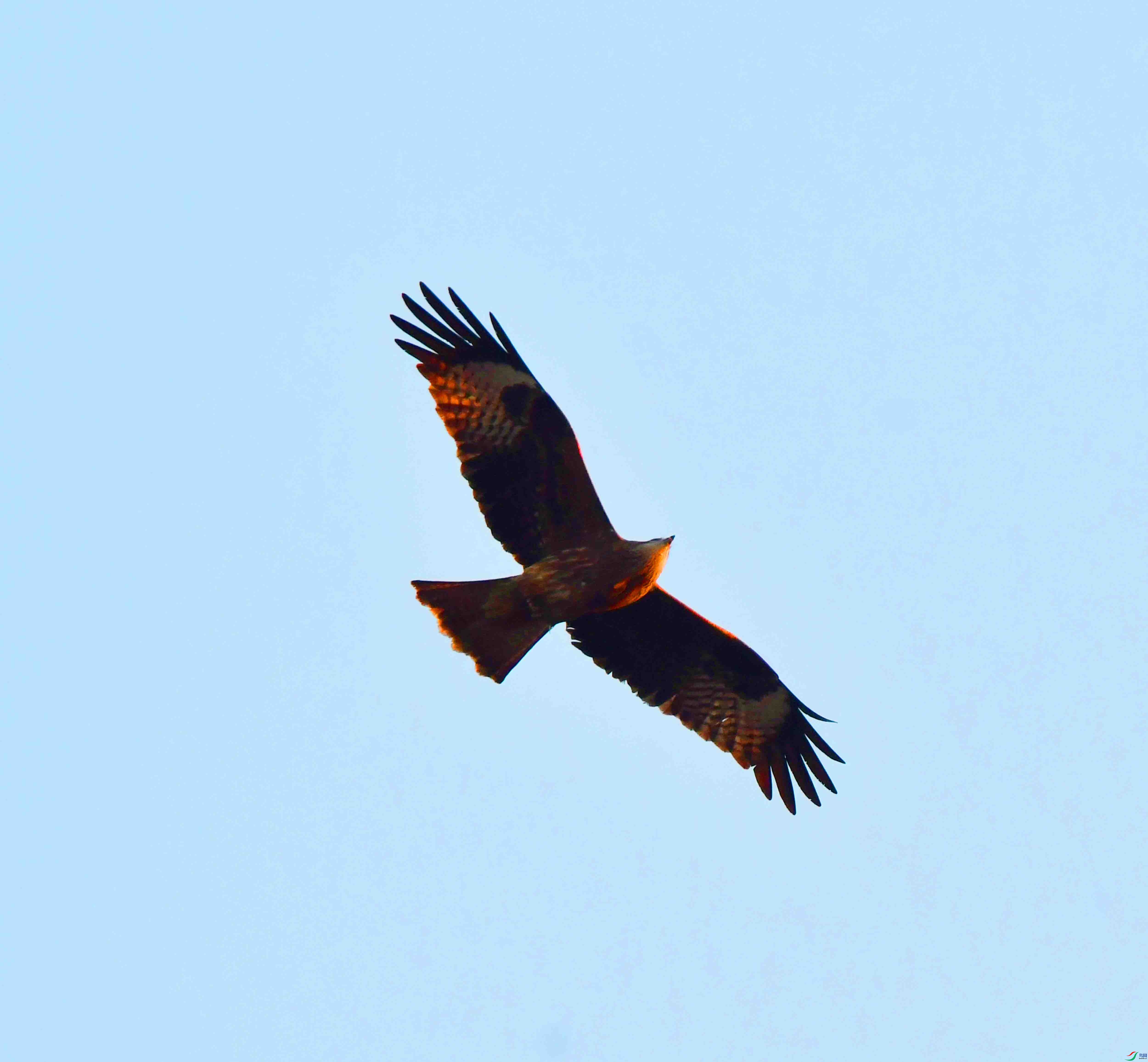 DSC_6300.JPG