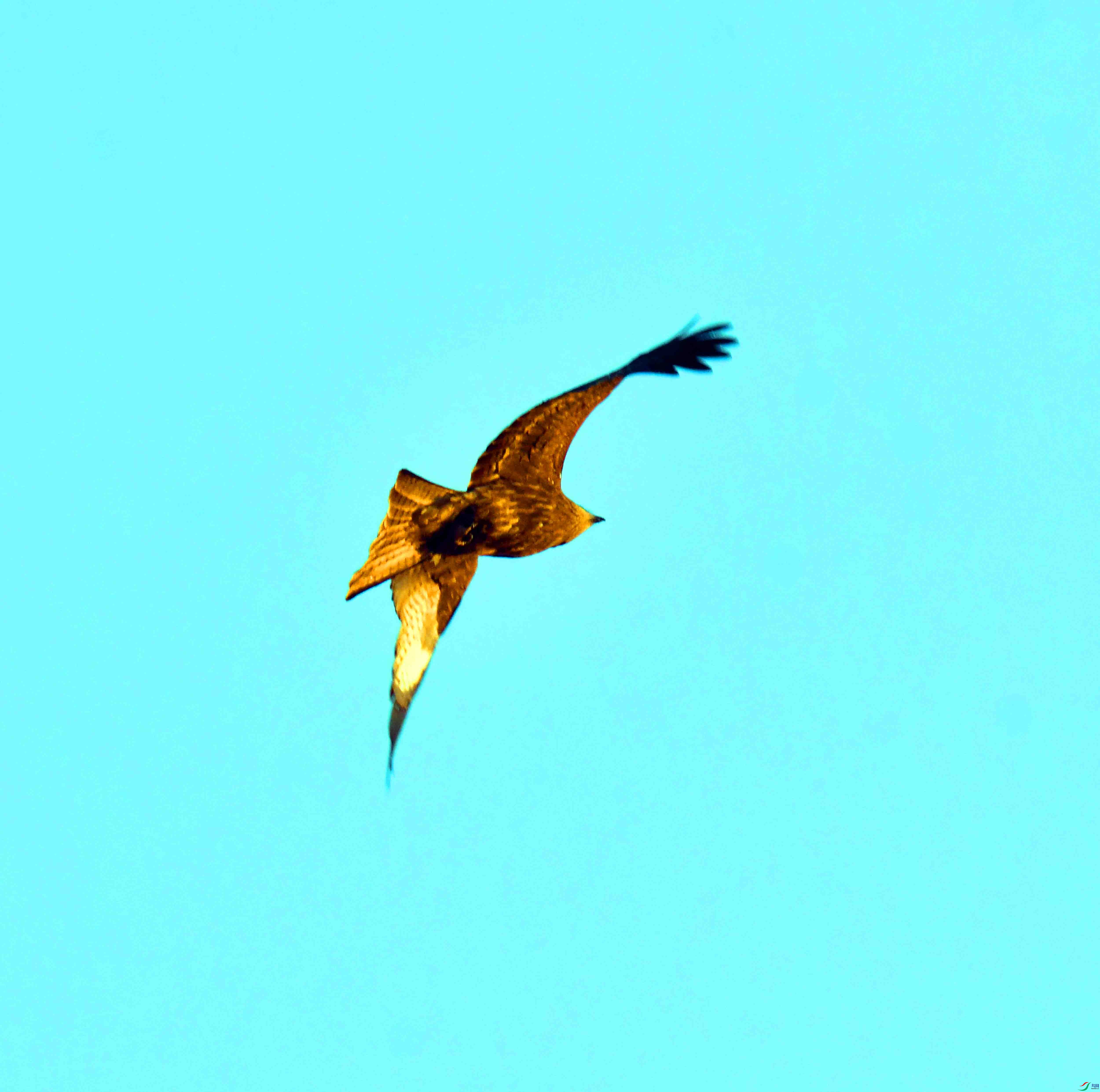 DSC_6305.JPG