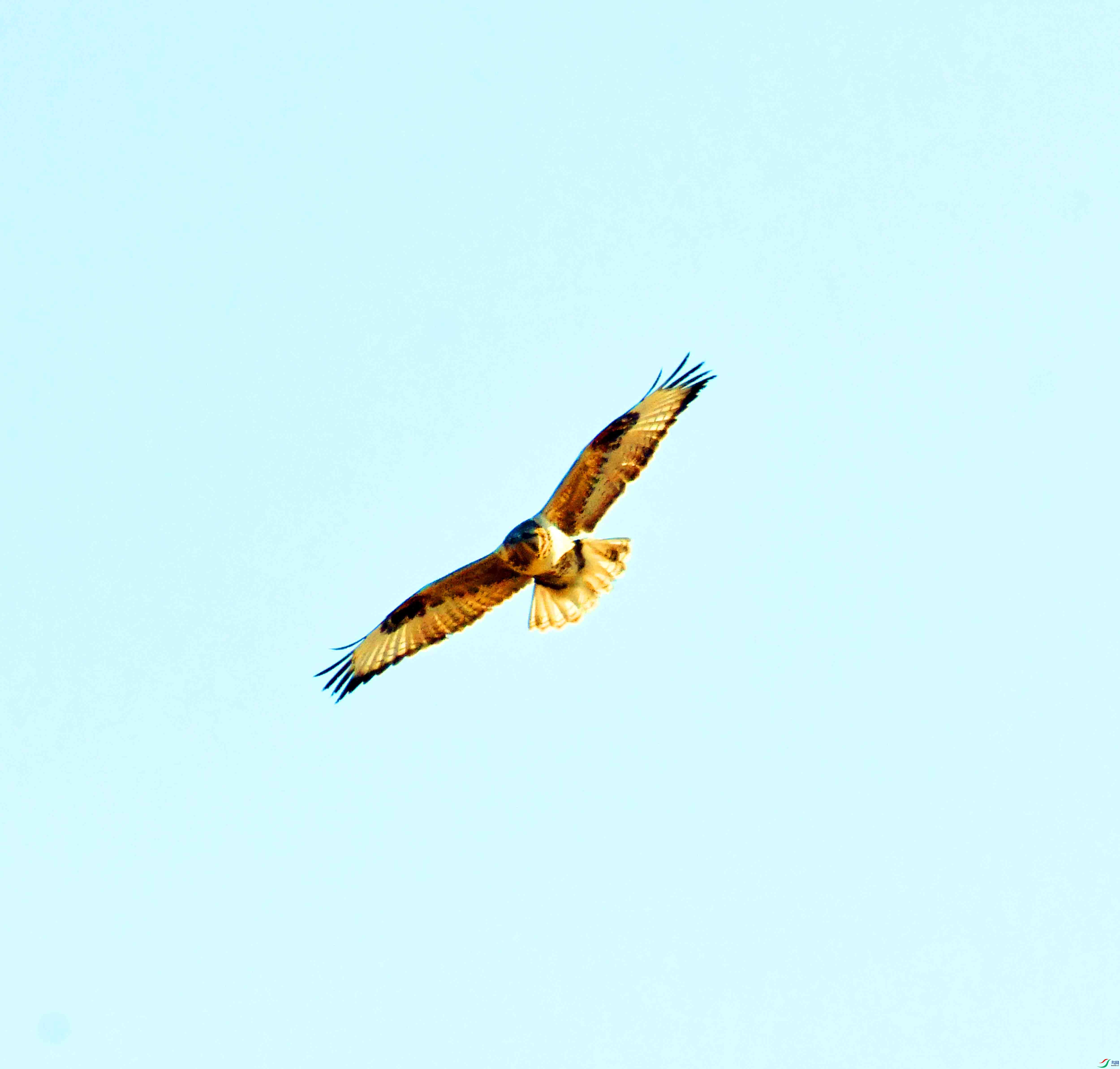 DSC_8011.JPG