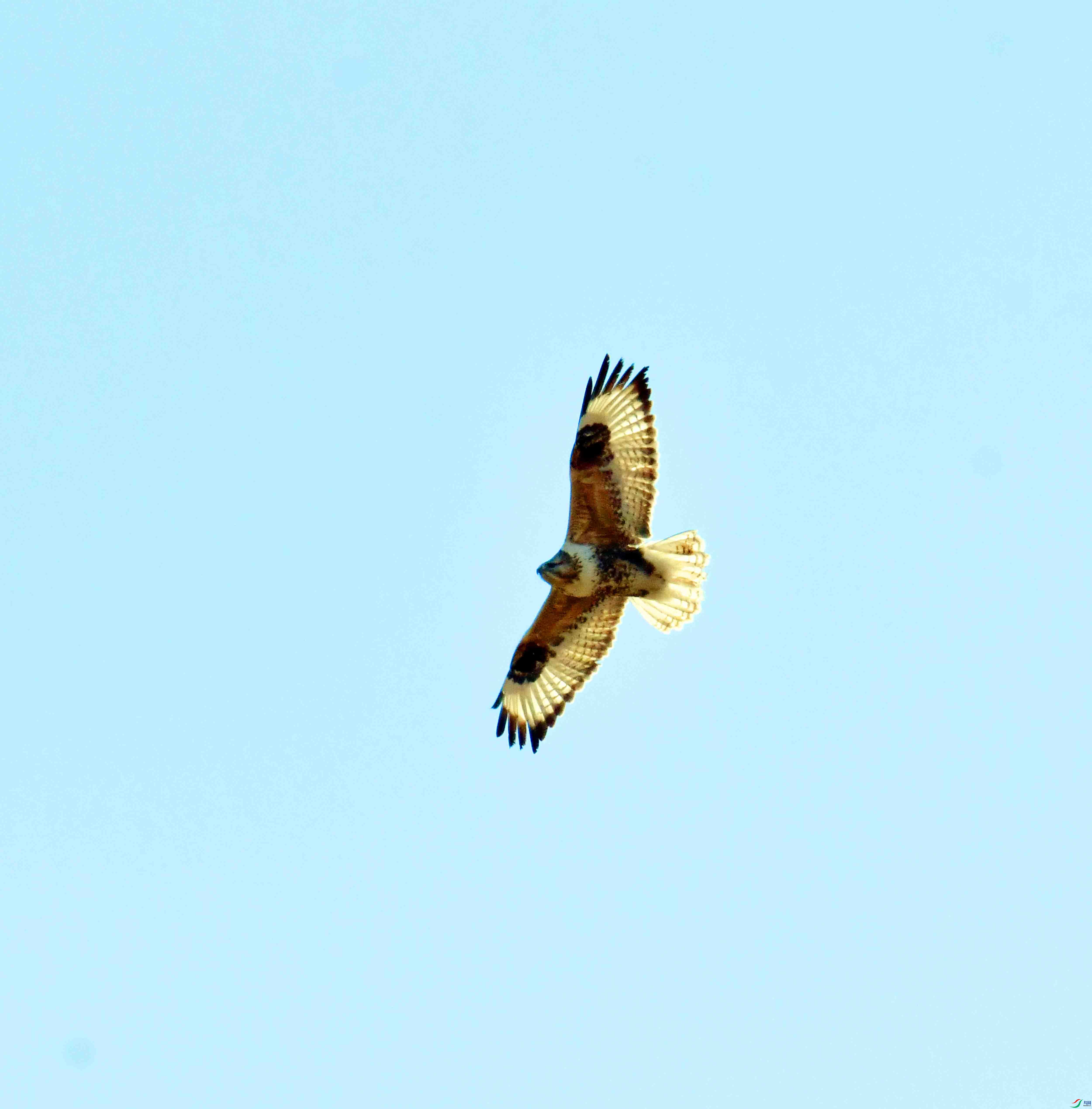 DSC_8014.JPG