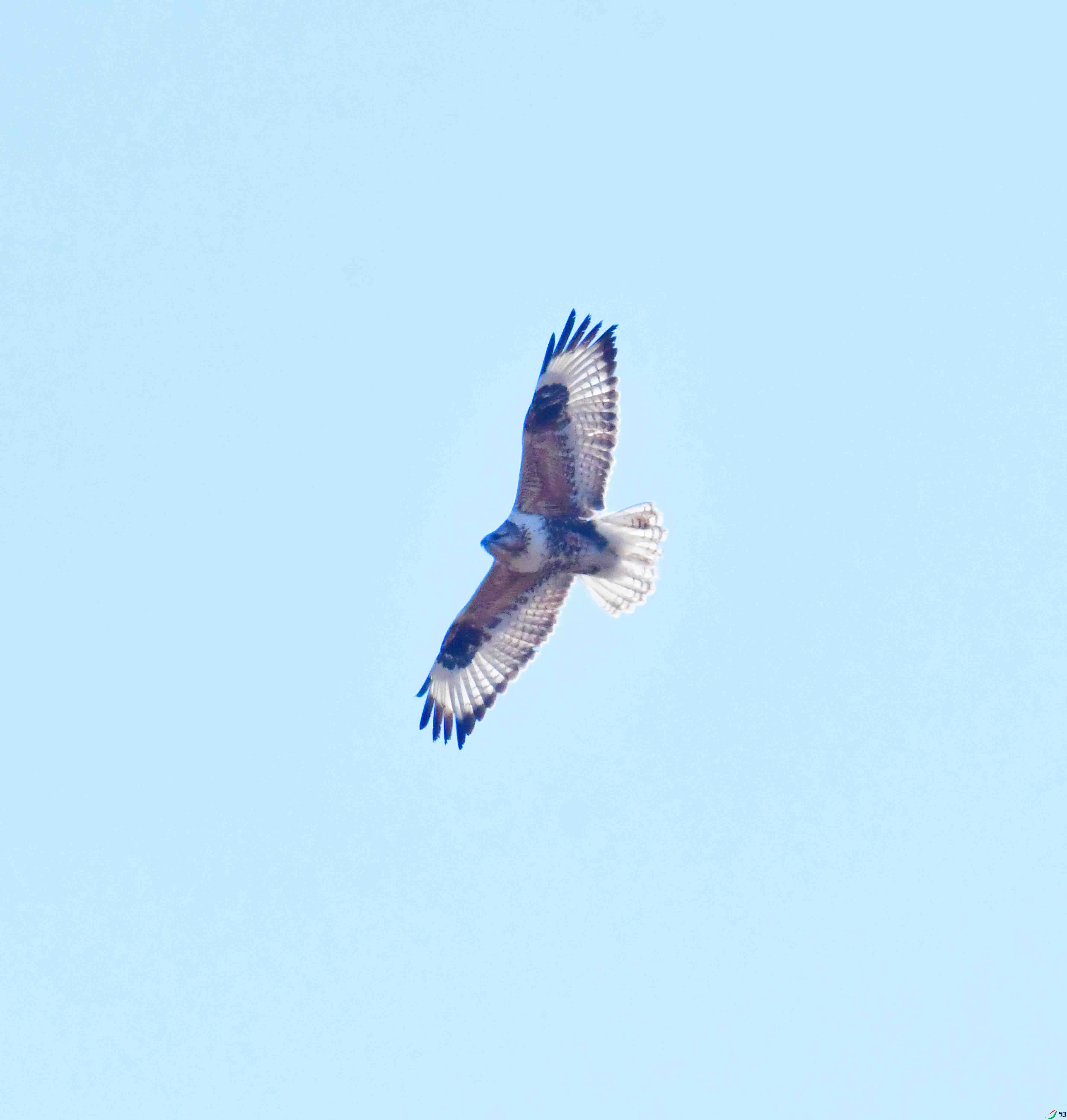 DSC_8013.JPG