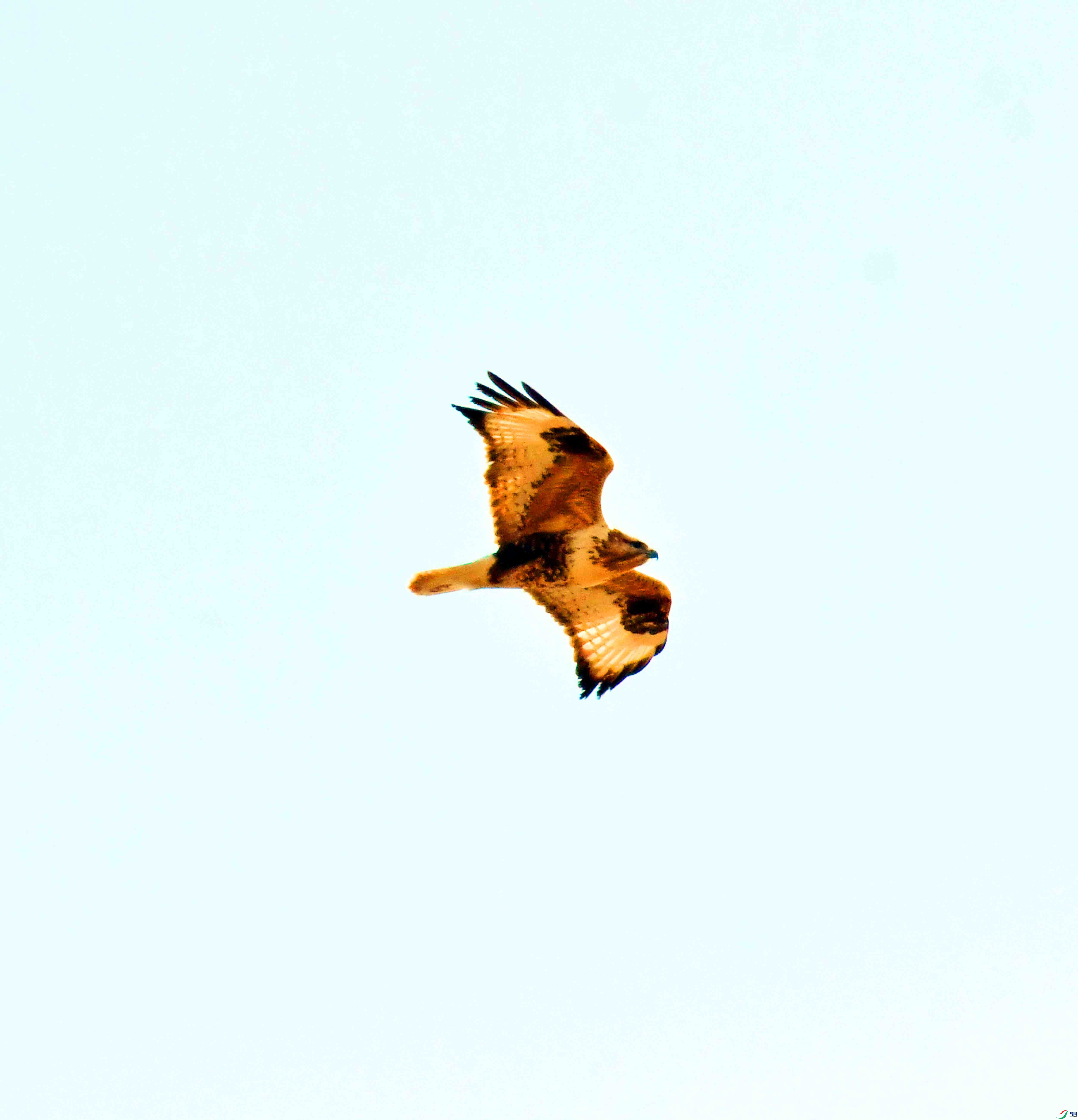 DSC_8030.JPG