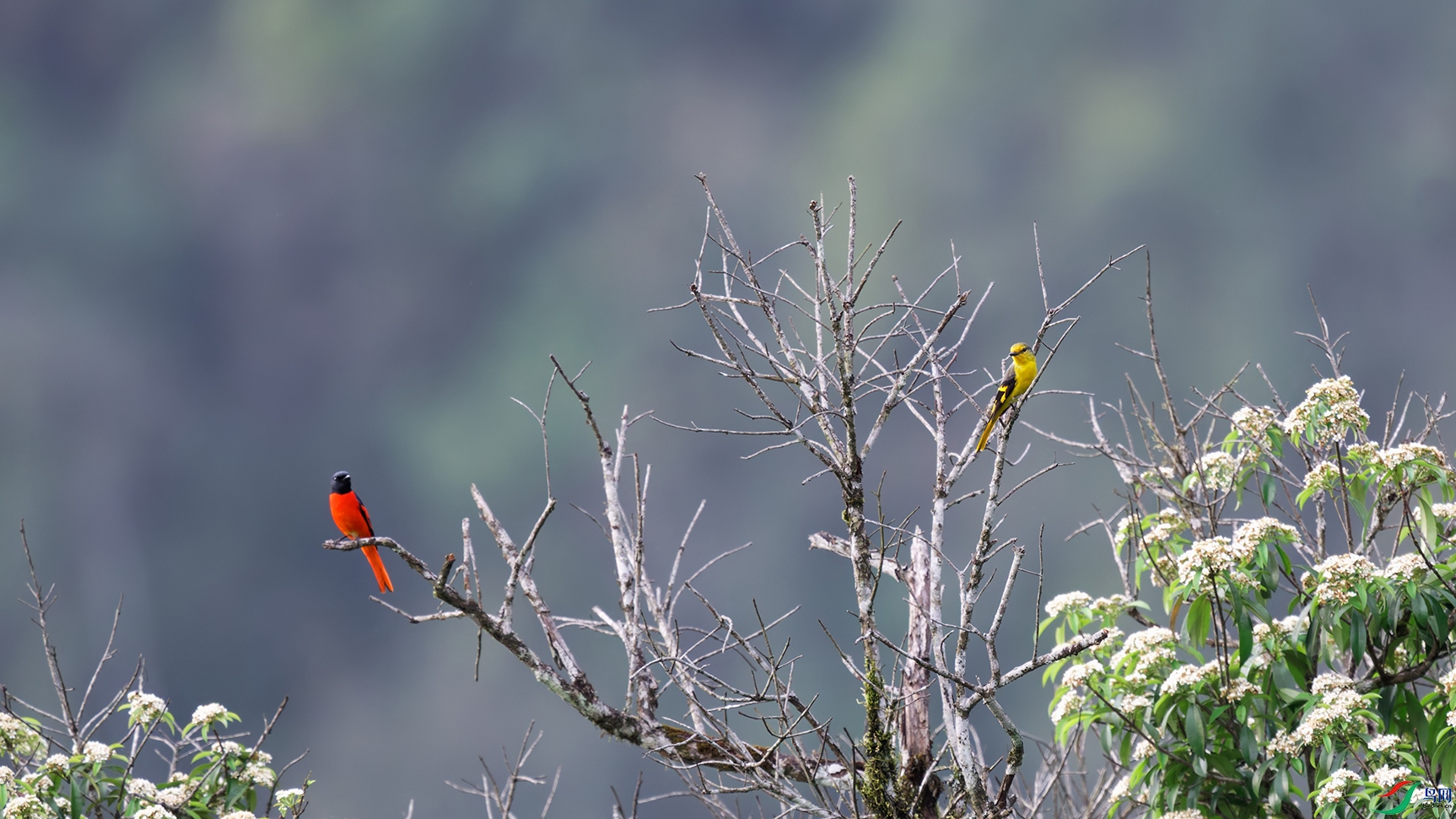DSC_0456_DxO_DxOa.jpg