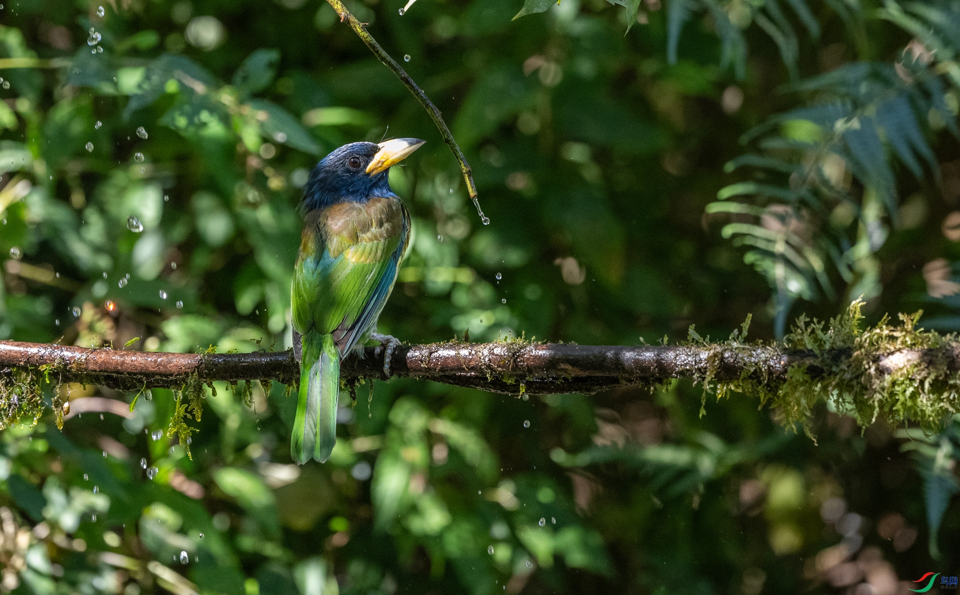 _DSC7673.jpg