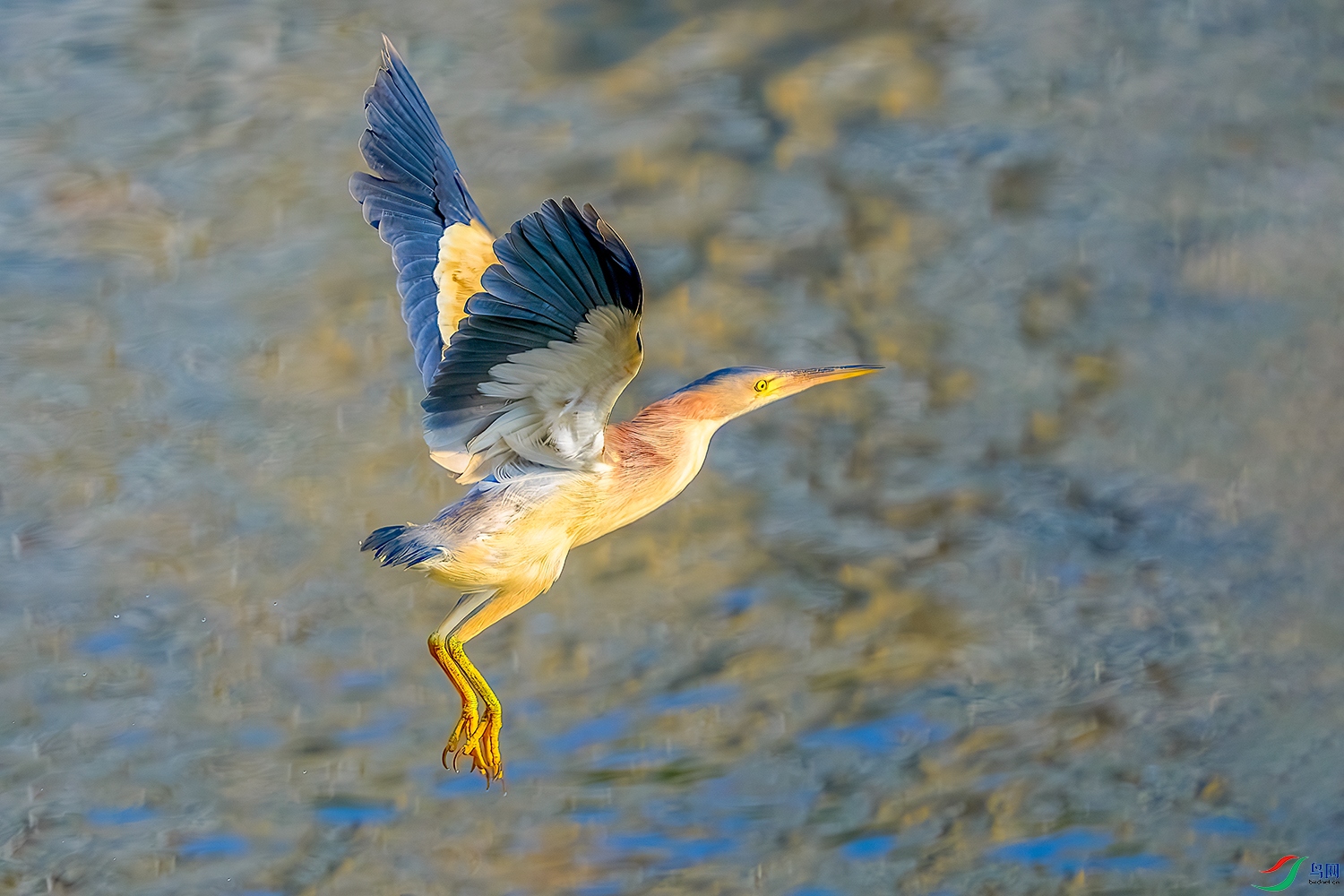 DSC_2351b.jpg