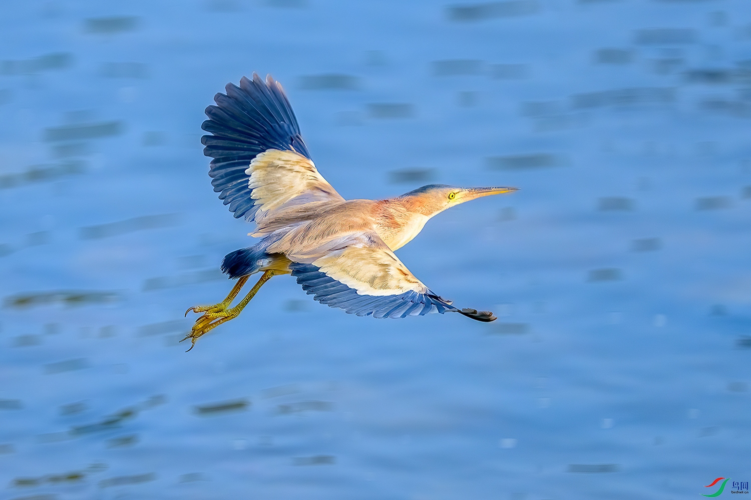 DSC_2363b.jpg