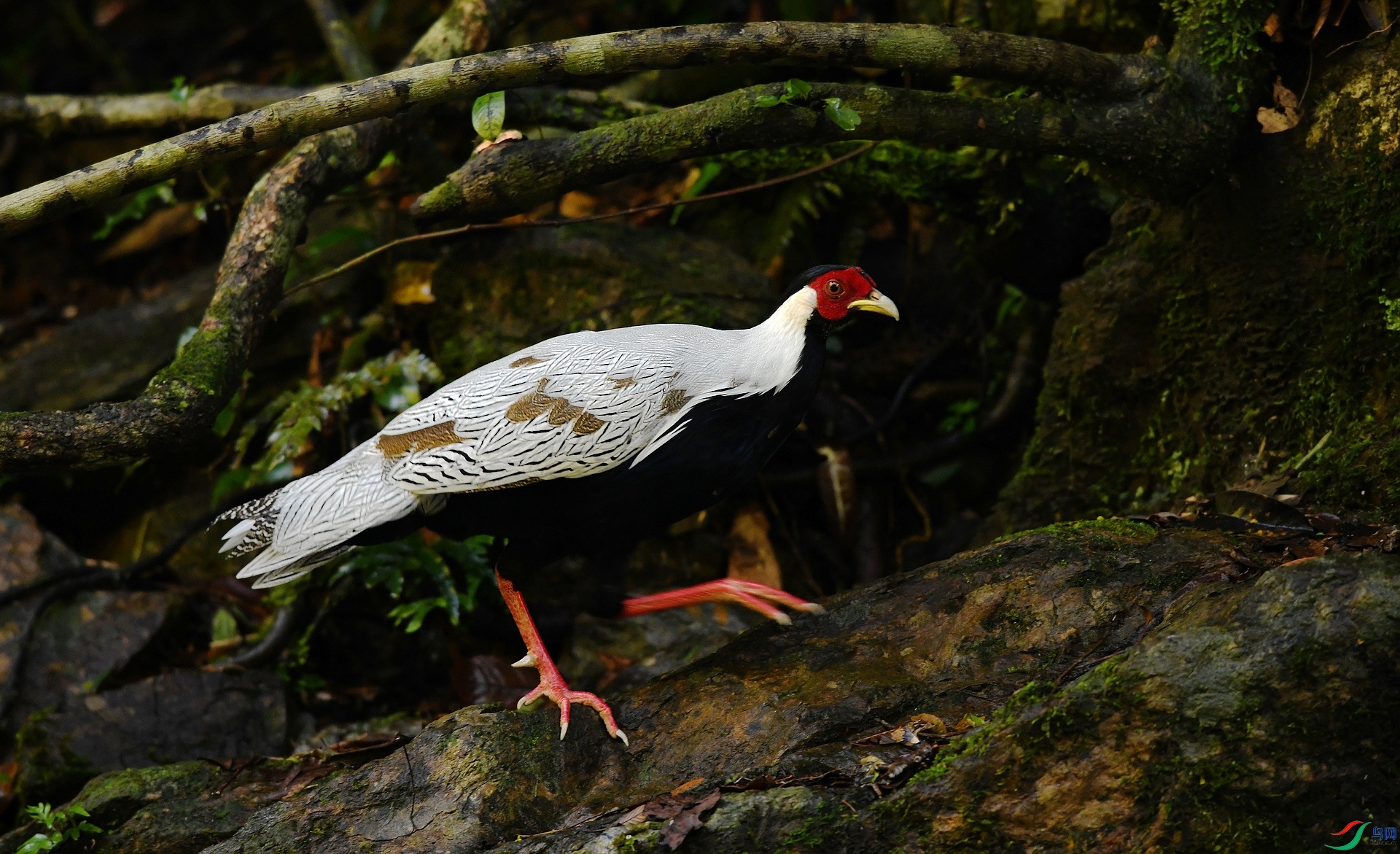 DSC_5073.jpg