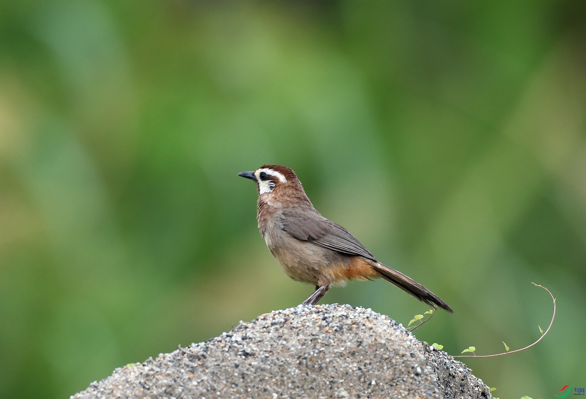 DSC_0744.jpg