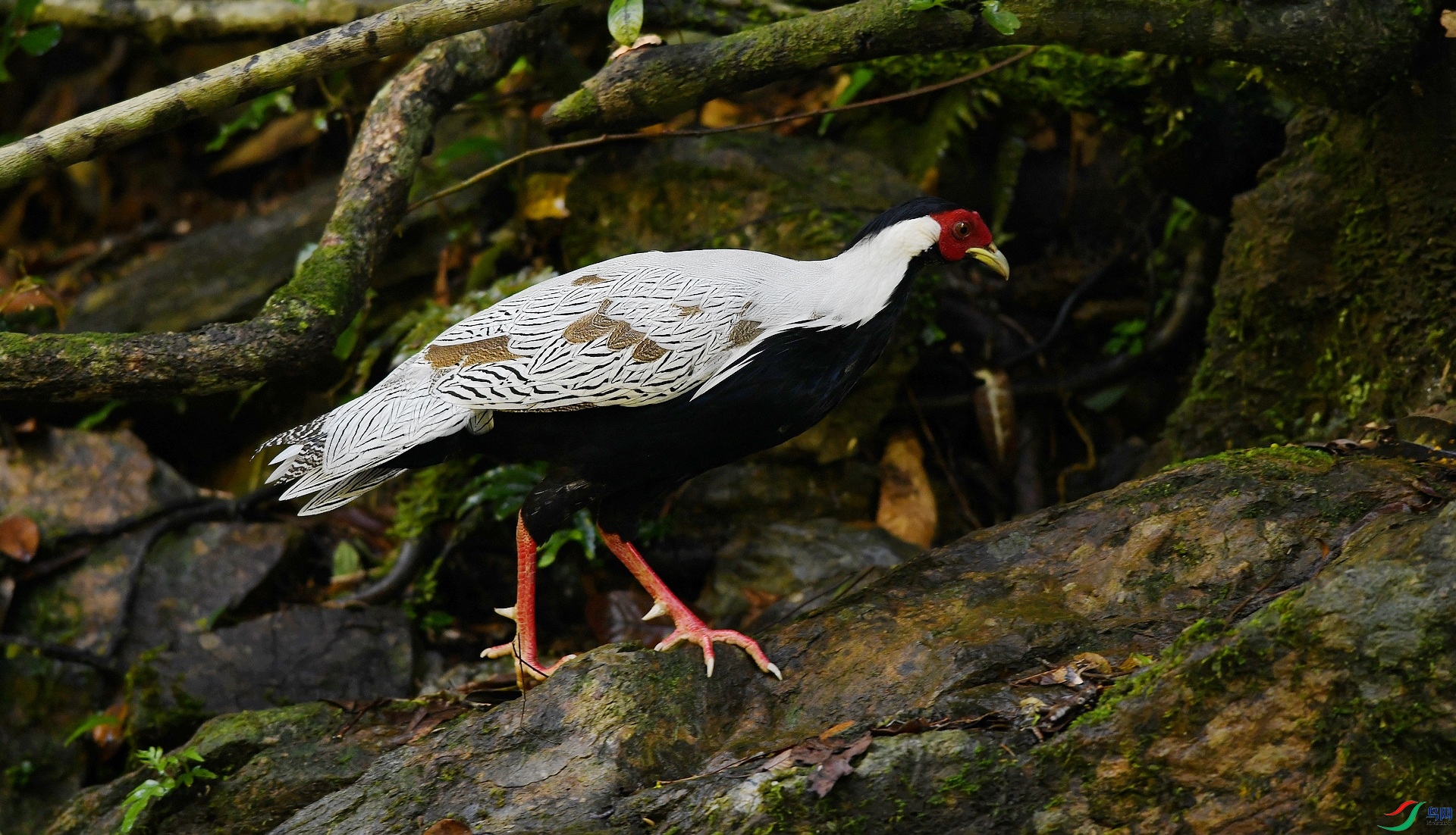 DSC_5072.jpg