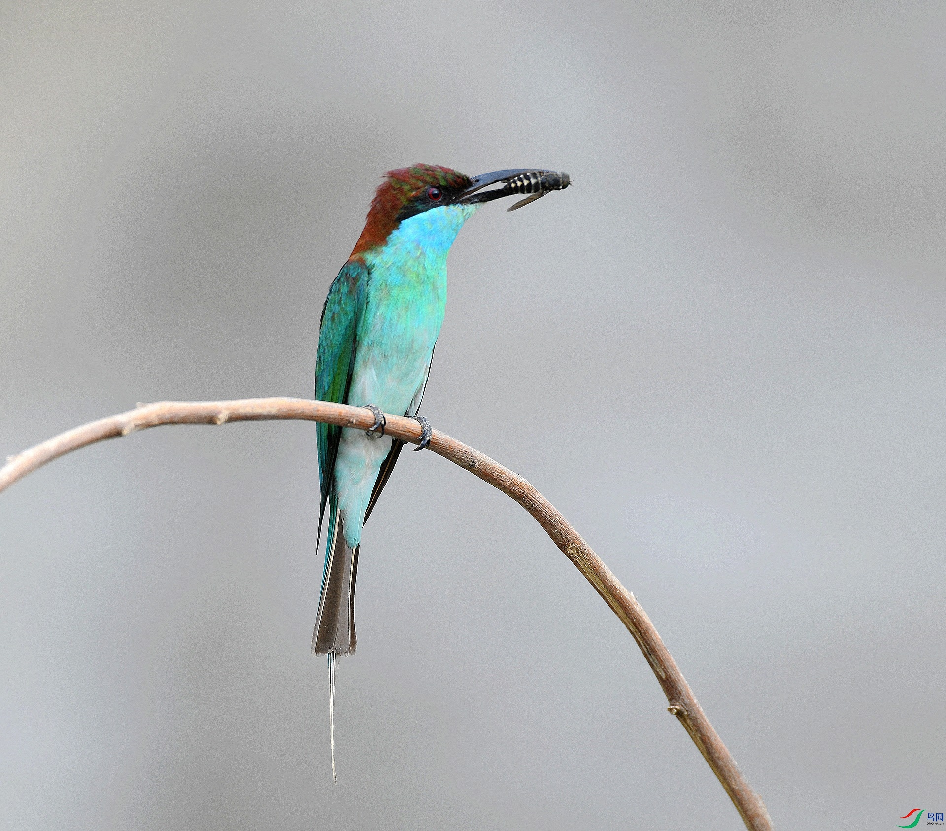 DSC_1025.jpg