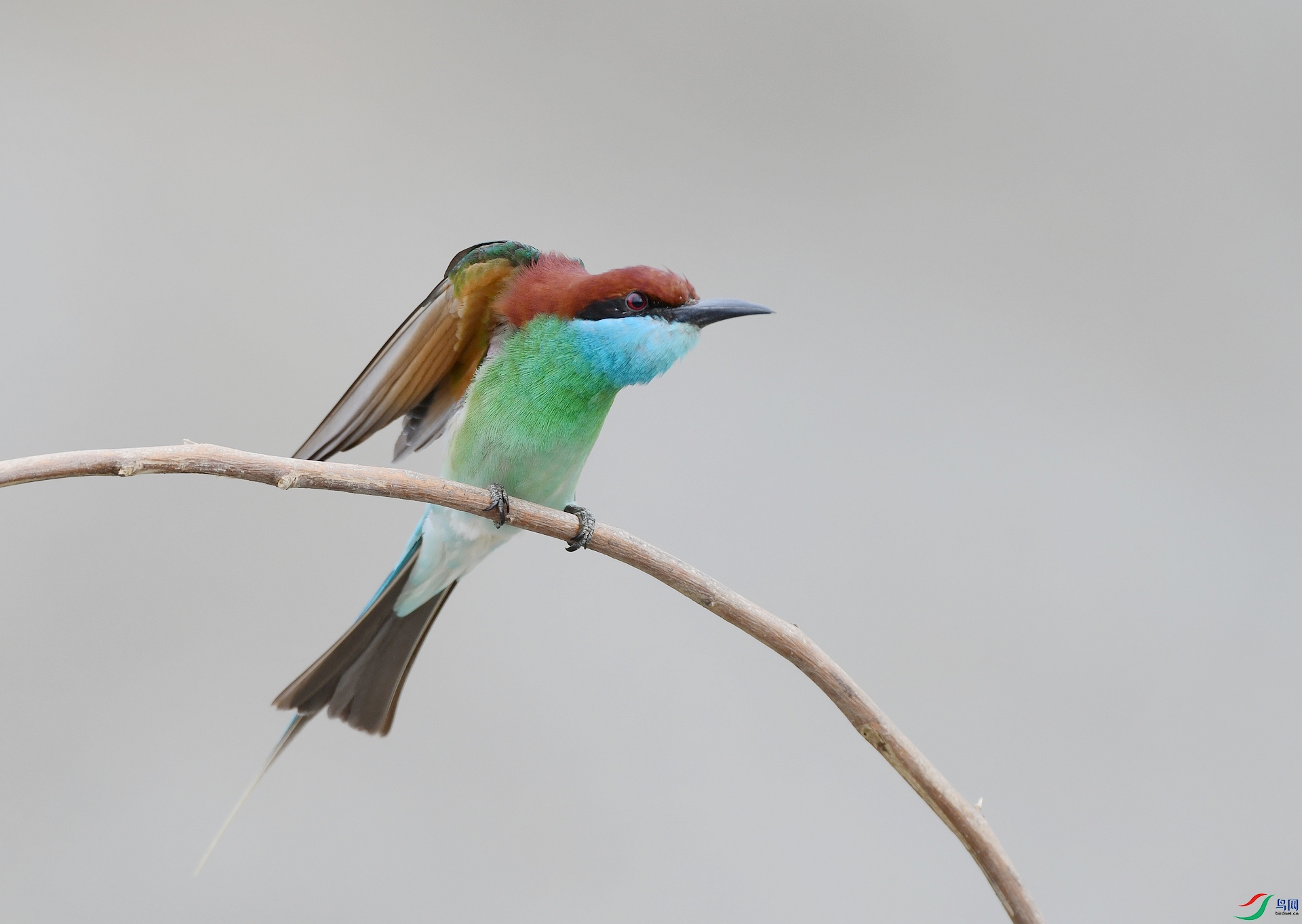 DSC_2481.jpg