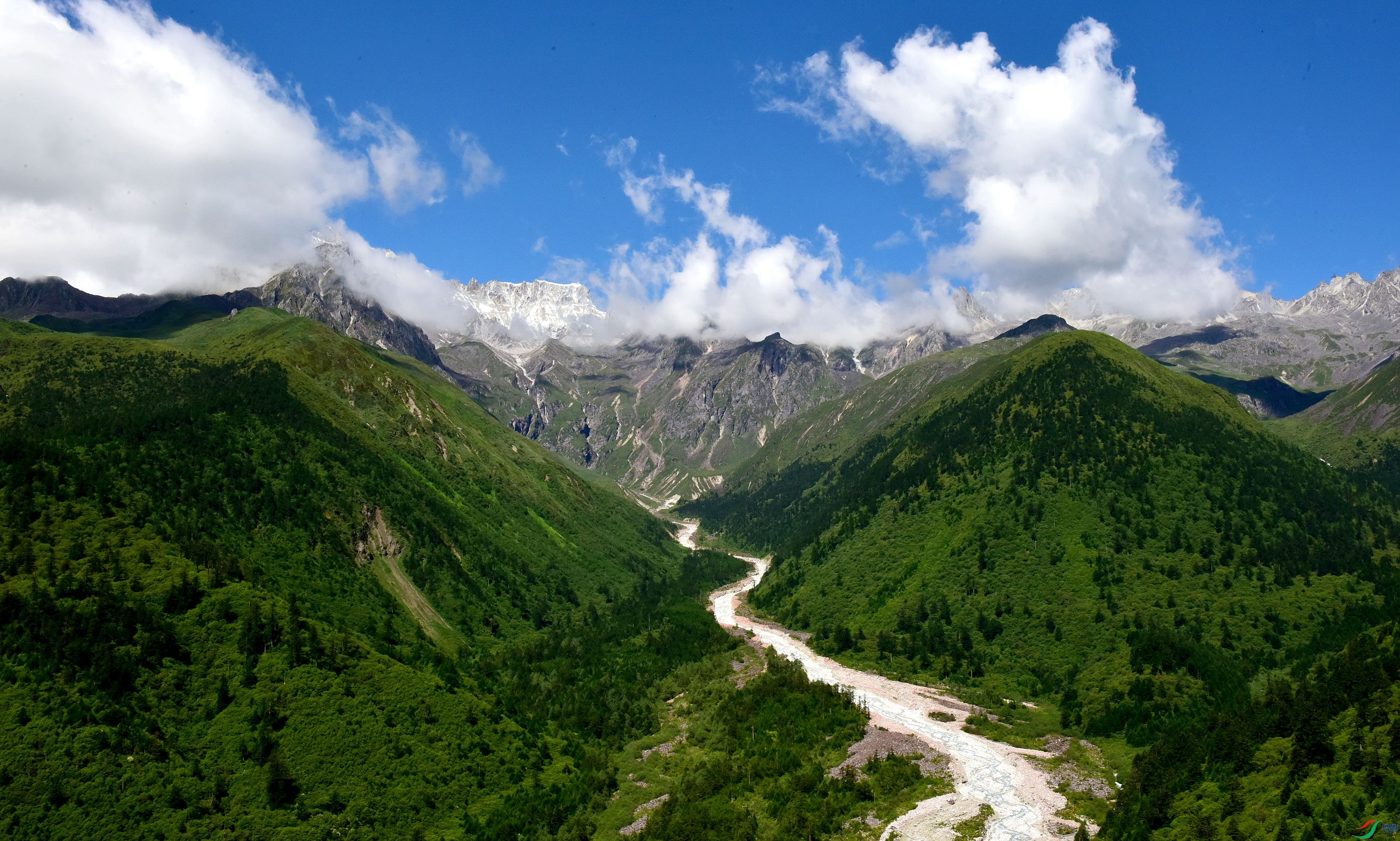 DSC_9579_conew3.jpg