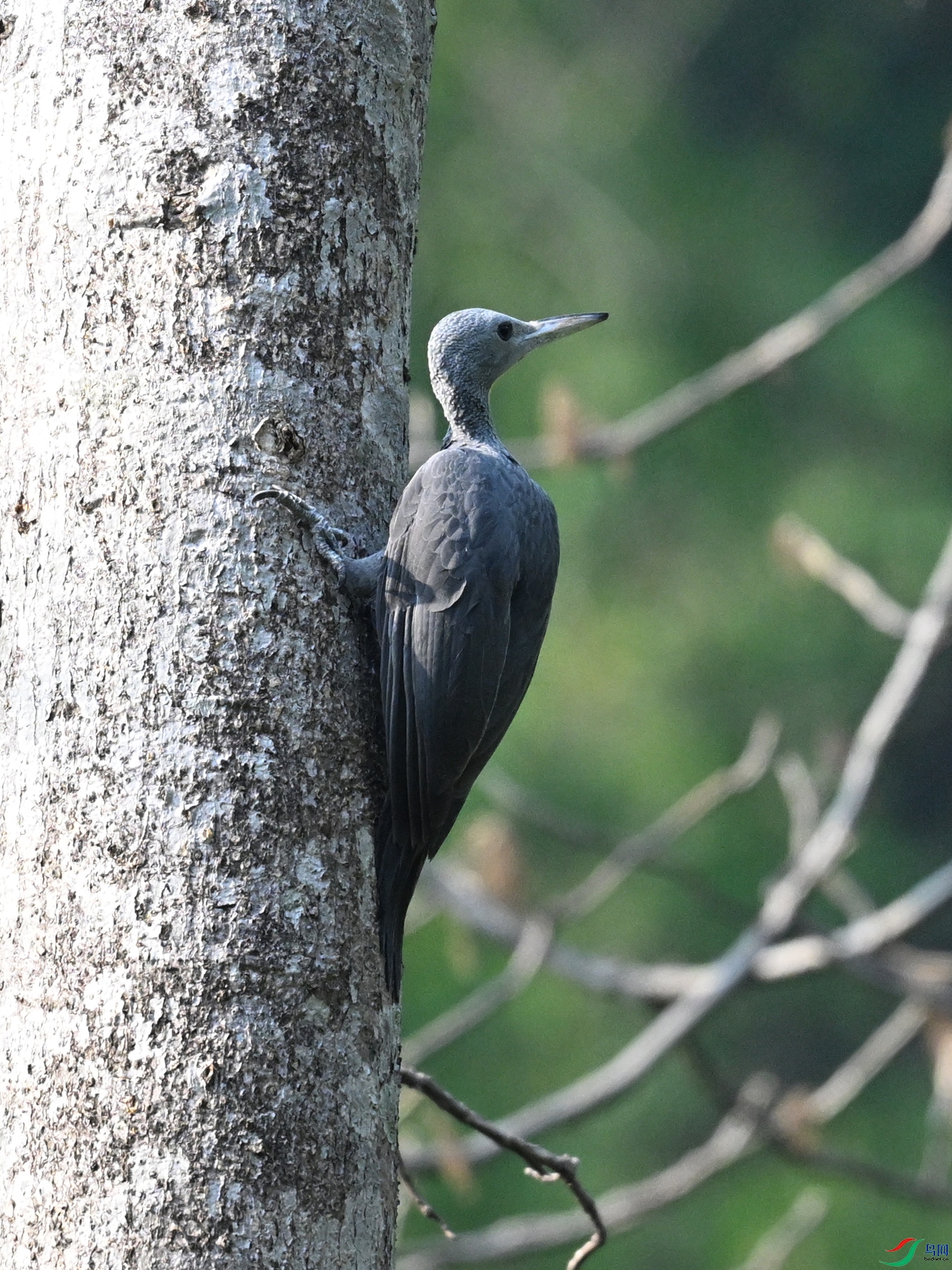 DSC_5452.JPG