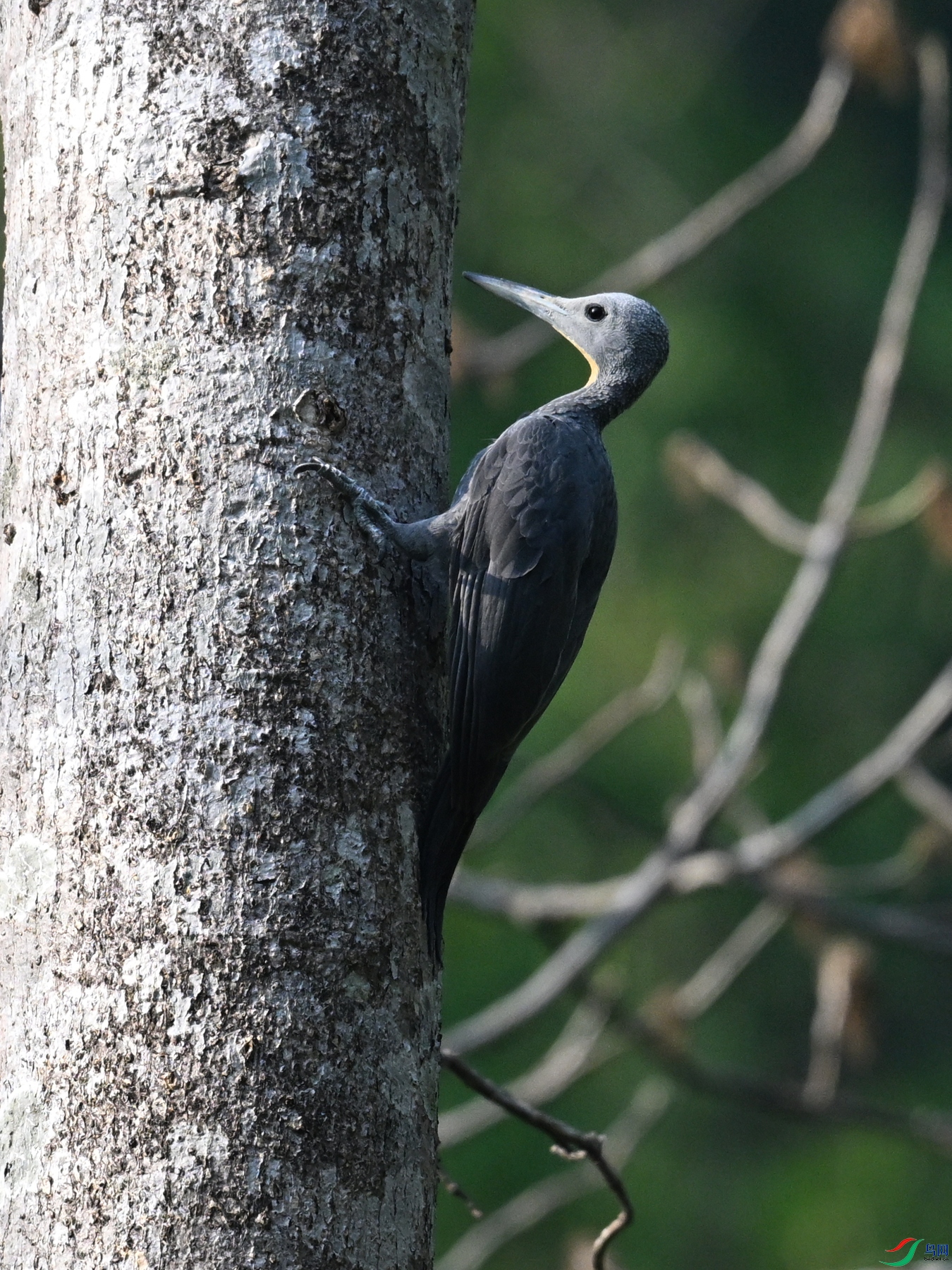 DSC_5457.JPG