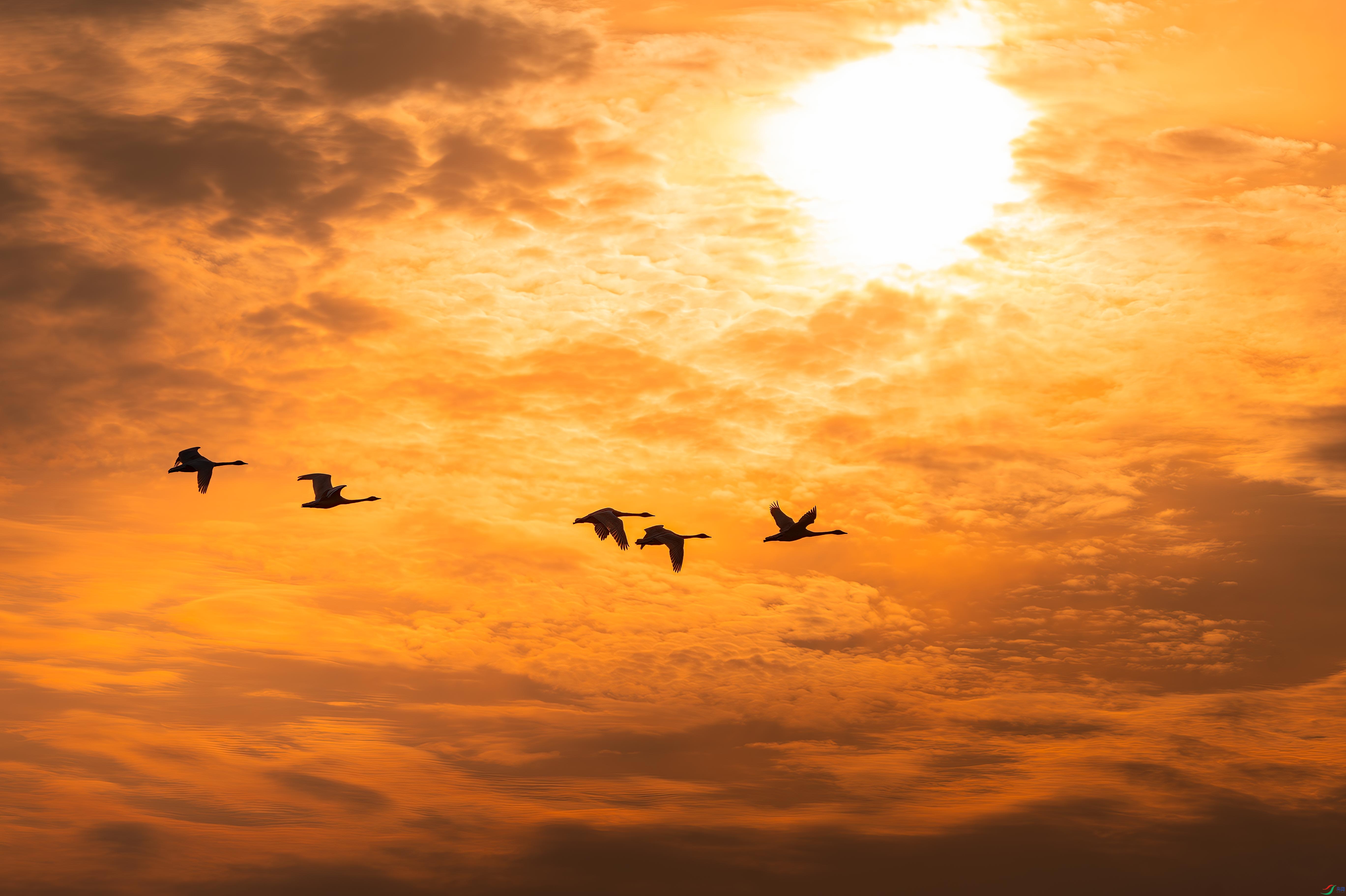 DSC02735-����ǿ-NR-1.jpg