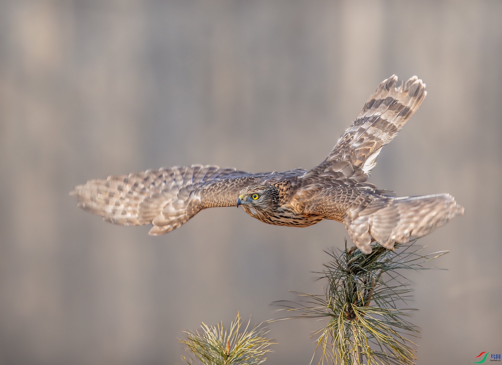 DSC_7506-11.jpg