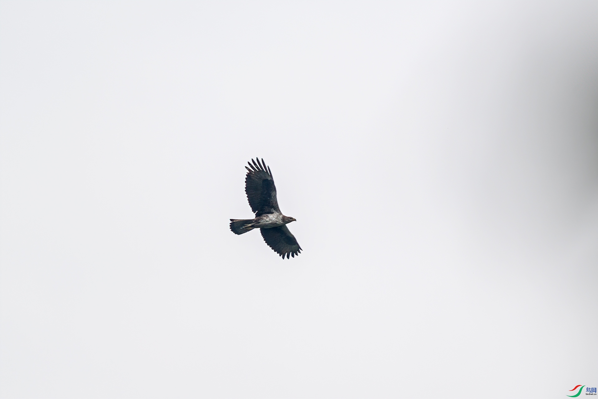 DSC_1320-11.jpg