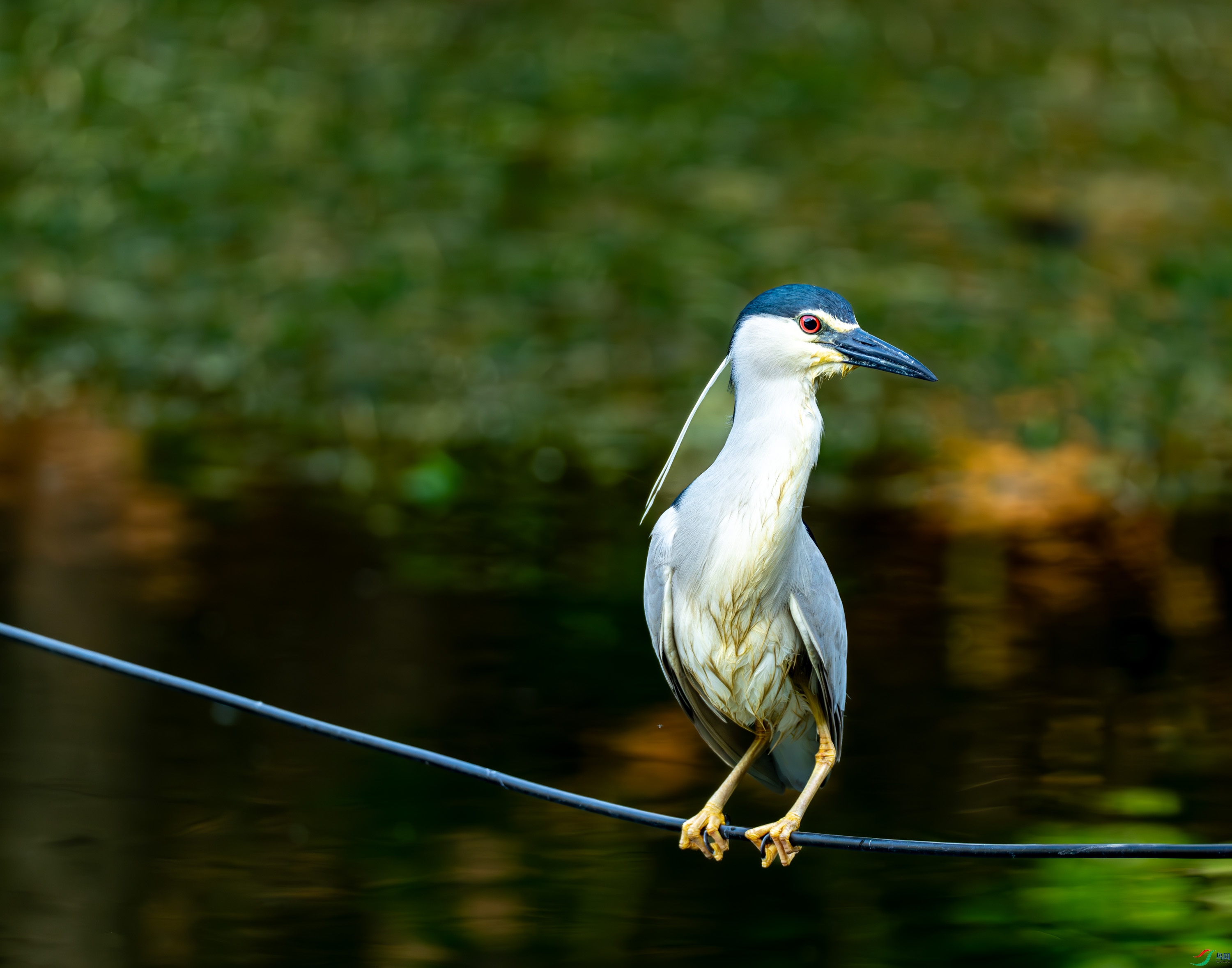 ҹ�� (8 - 9).jpg