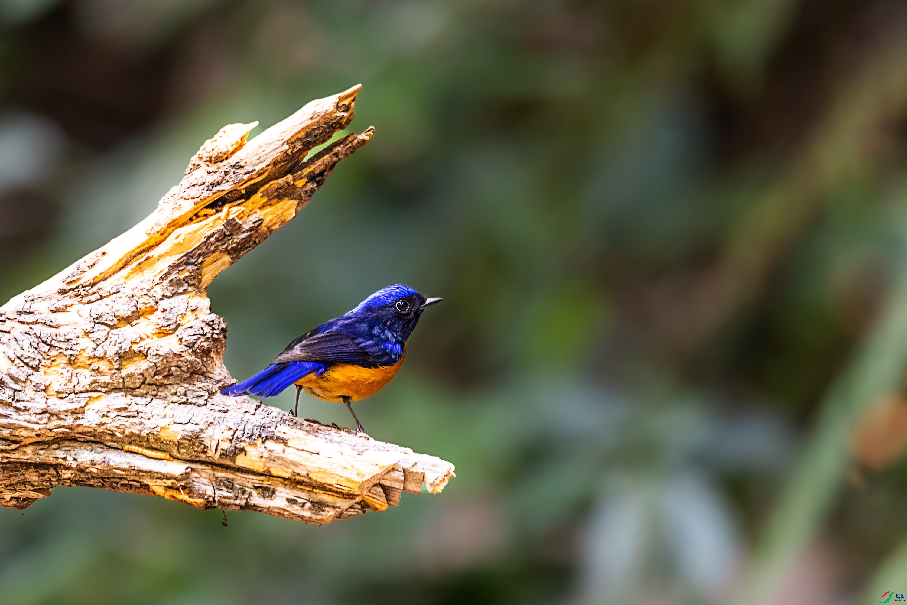 278A8954.jpg