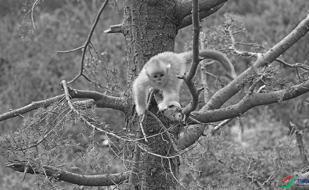 DSCF2078.1.jpg