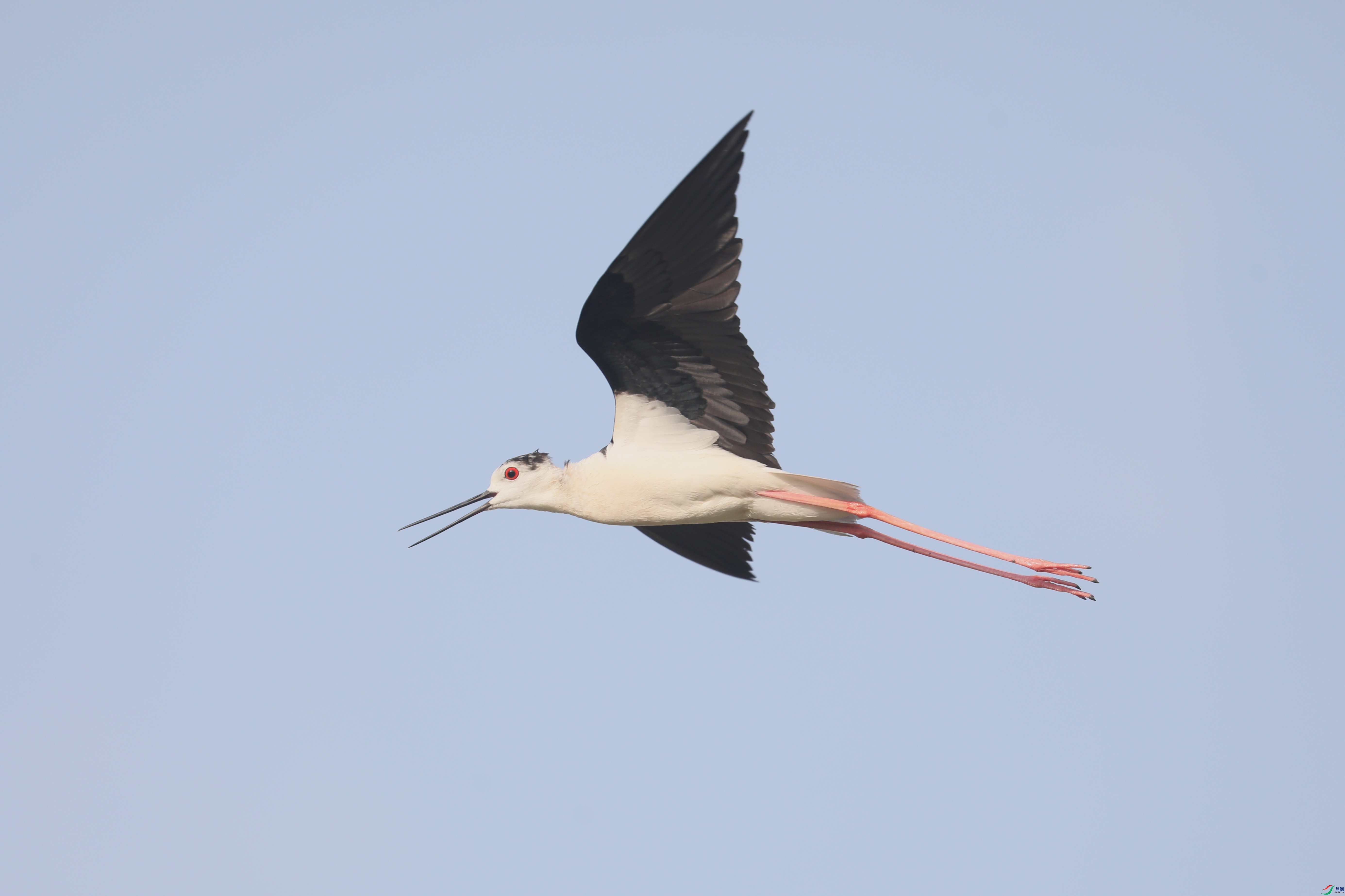 BL7A6535.JPG