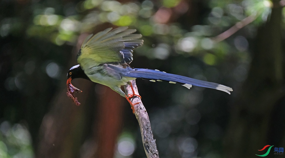 DSCF1131.1.jpg