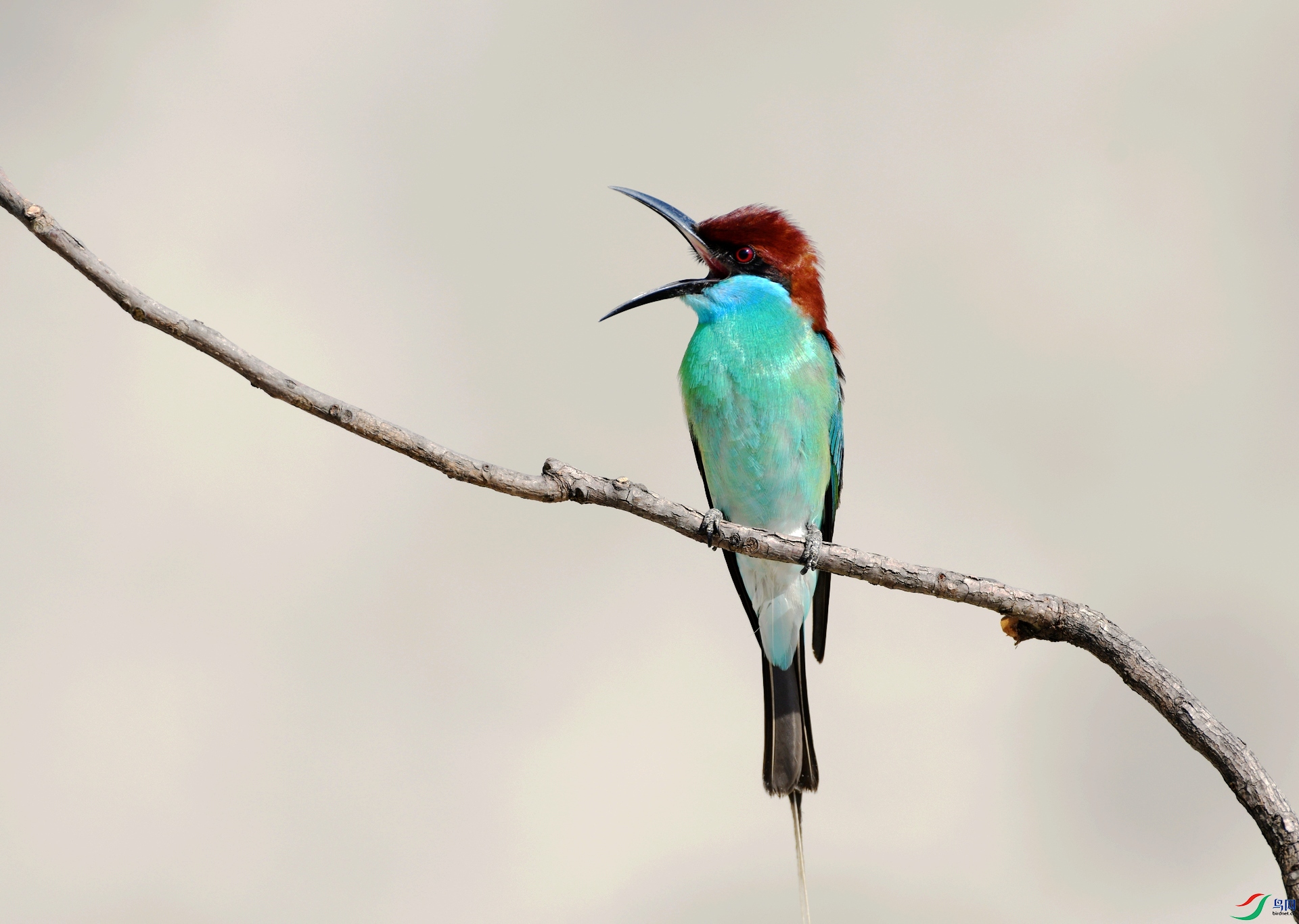 DSC_5105.jpg