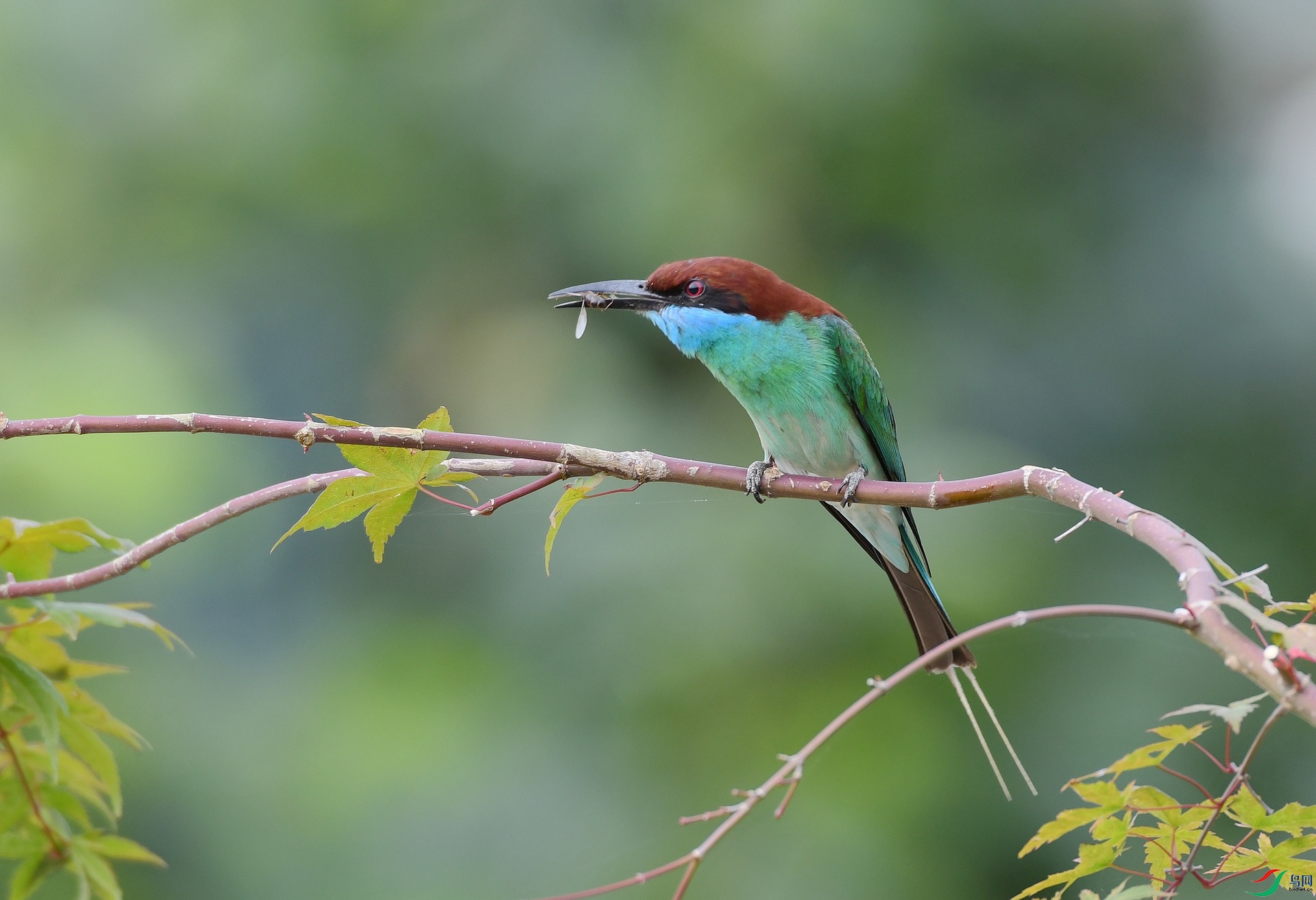 DSC_5078.jpg