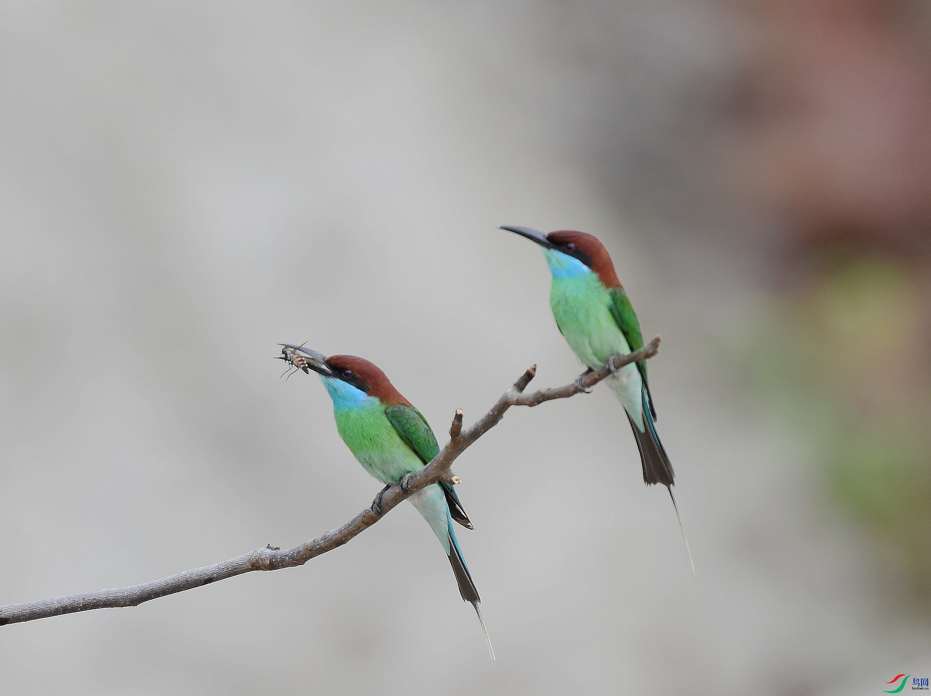 DSC_2320.jpg