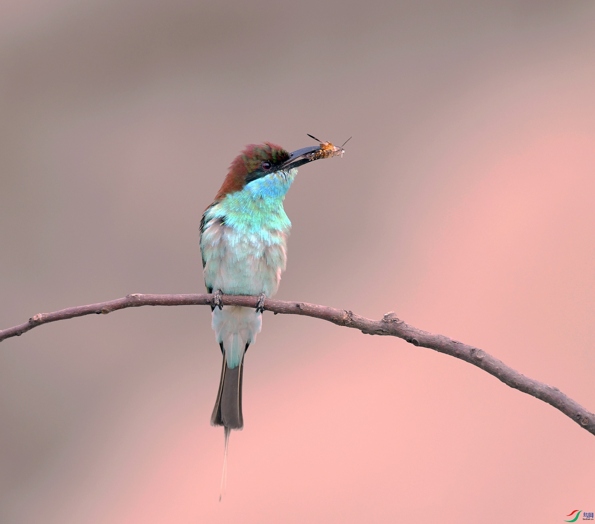 DSC_1899.jpg