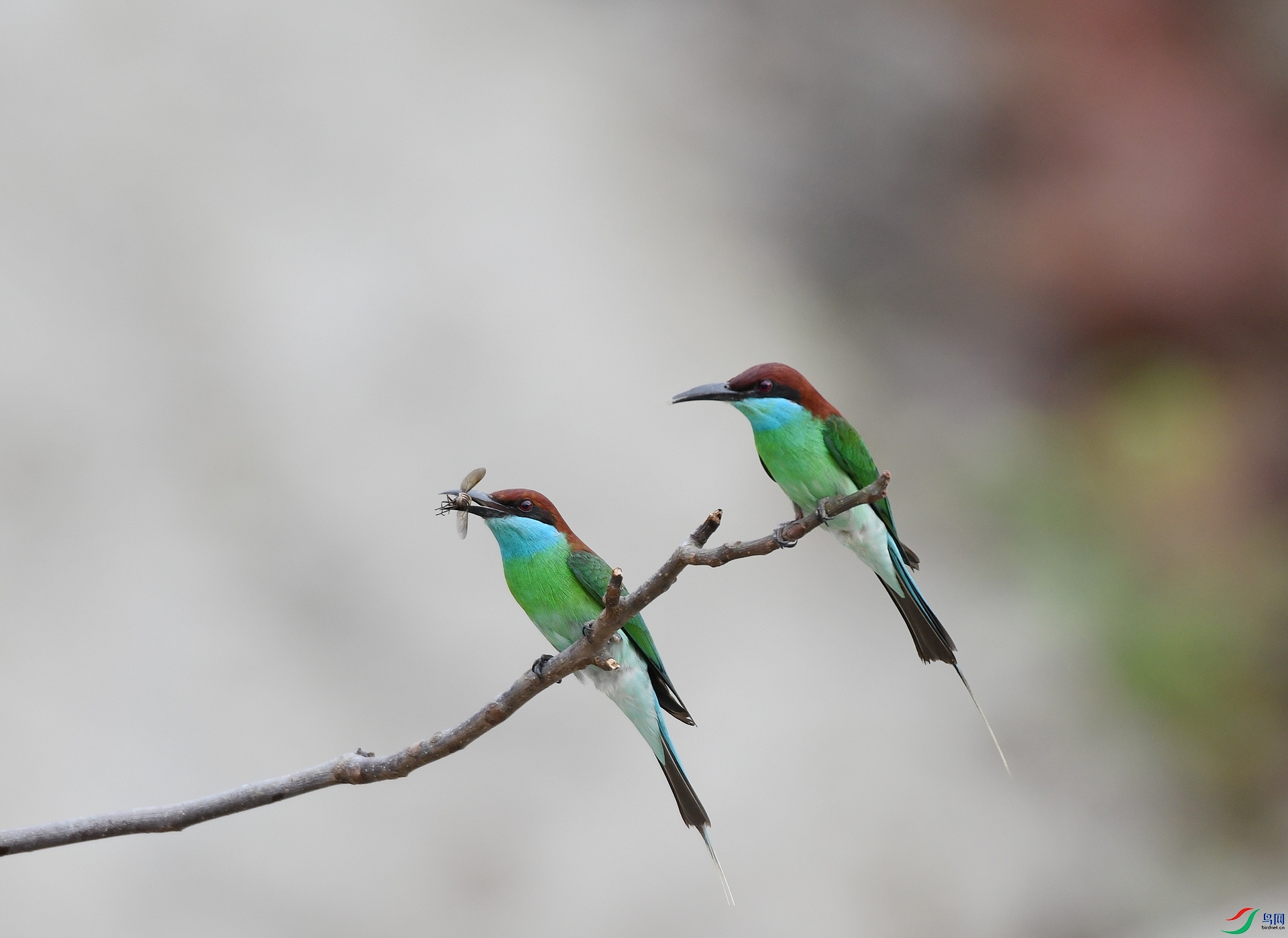 DSC_2317.jpg