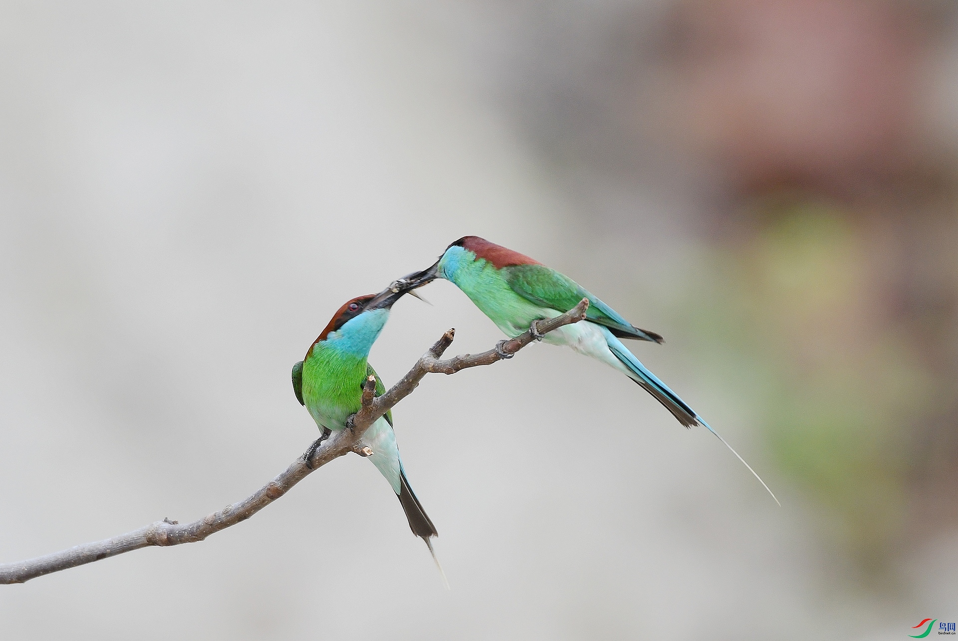 DSC_2316.jpg
