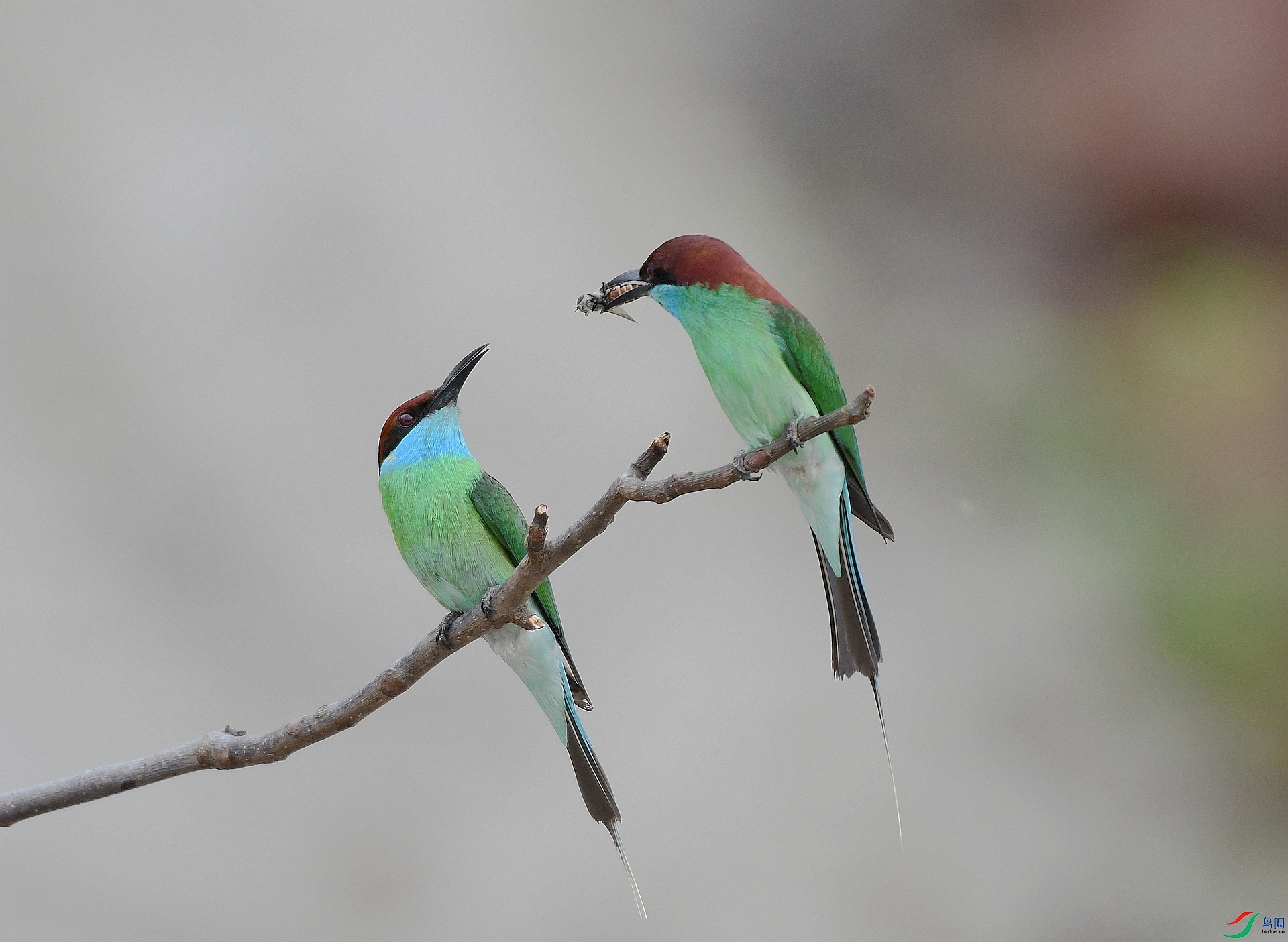 DSC_2314.jpg