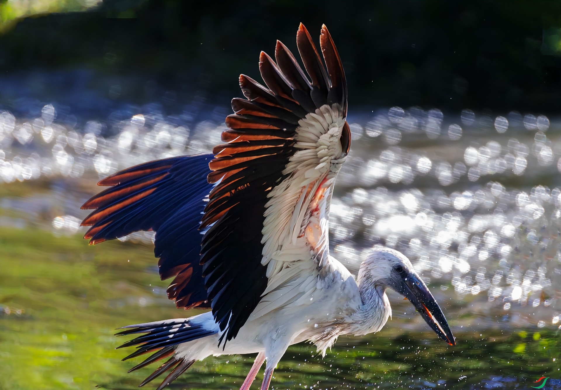 ǯ����