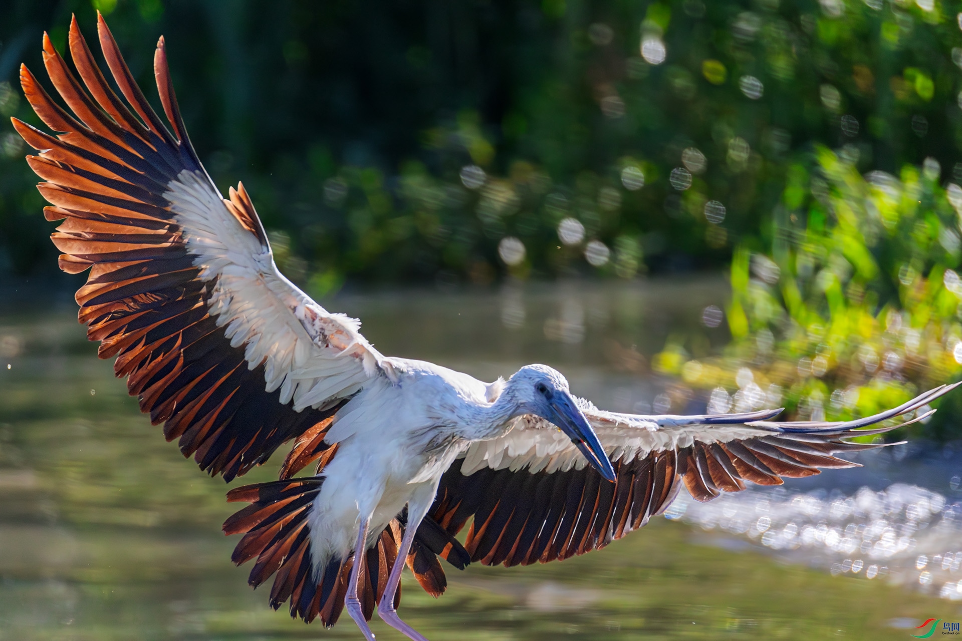 ǯ����