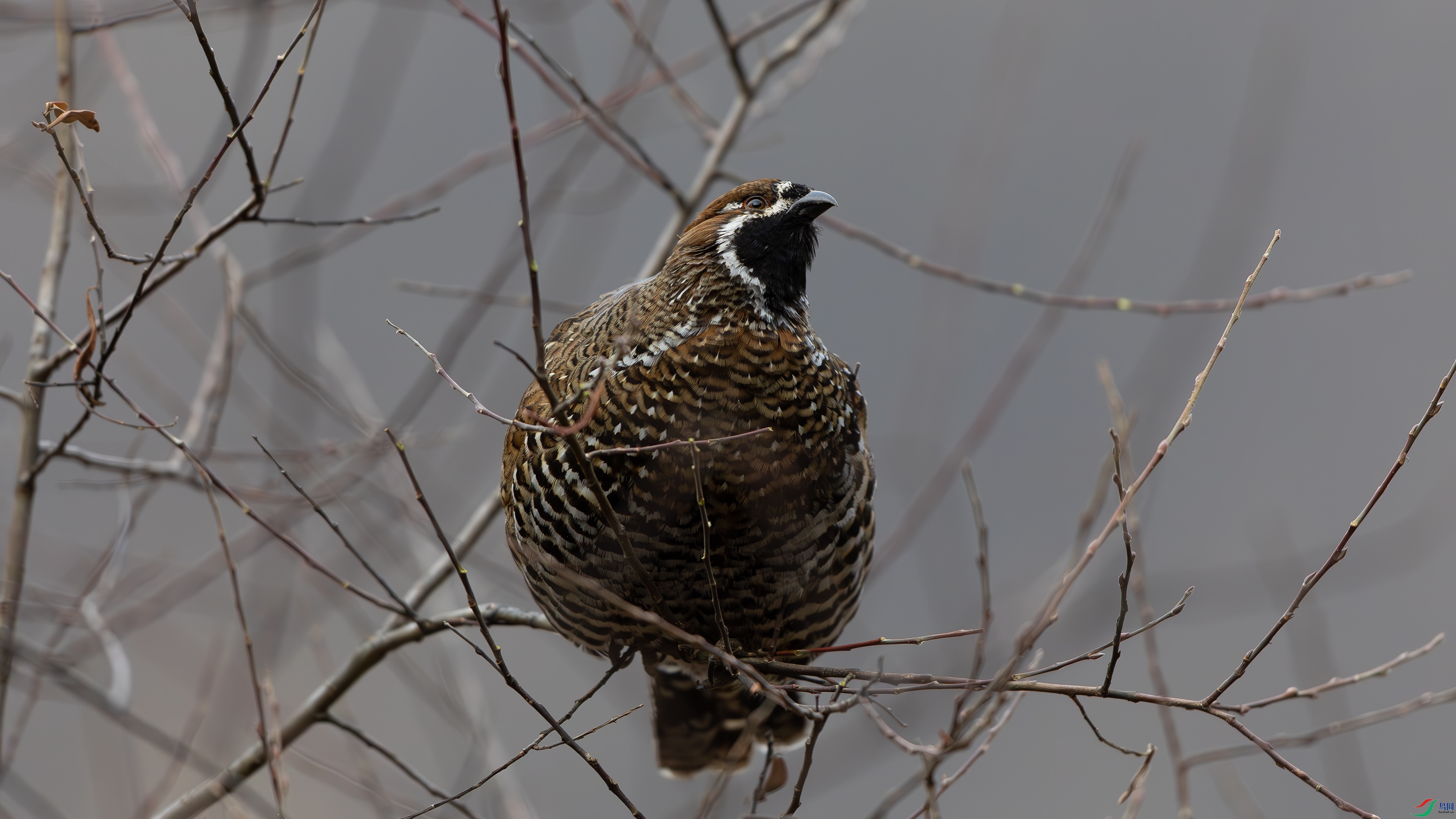 7X5A5791 22.jpg