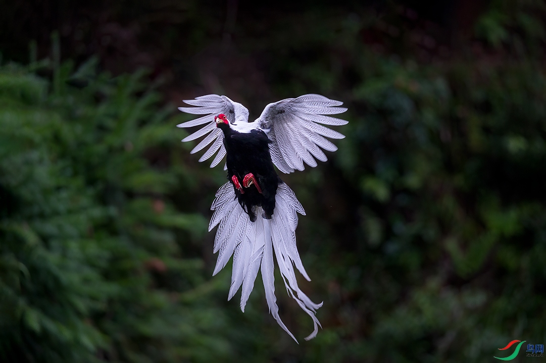 _FQ_2634-01.jpg