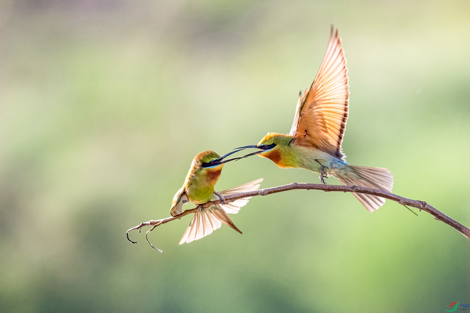 DSC_6434_����v.jpg