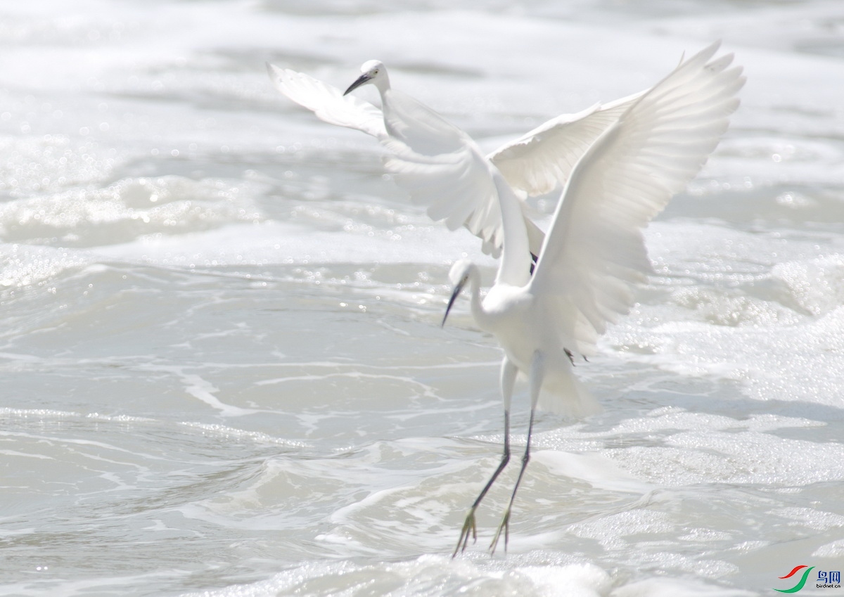 _DSC6707x_������С.jpg