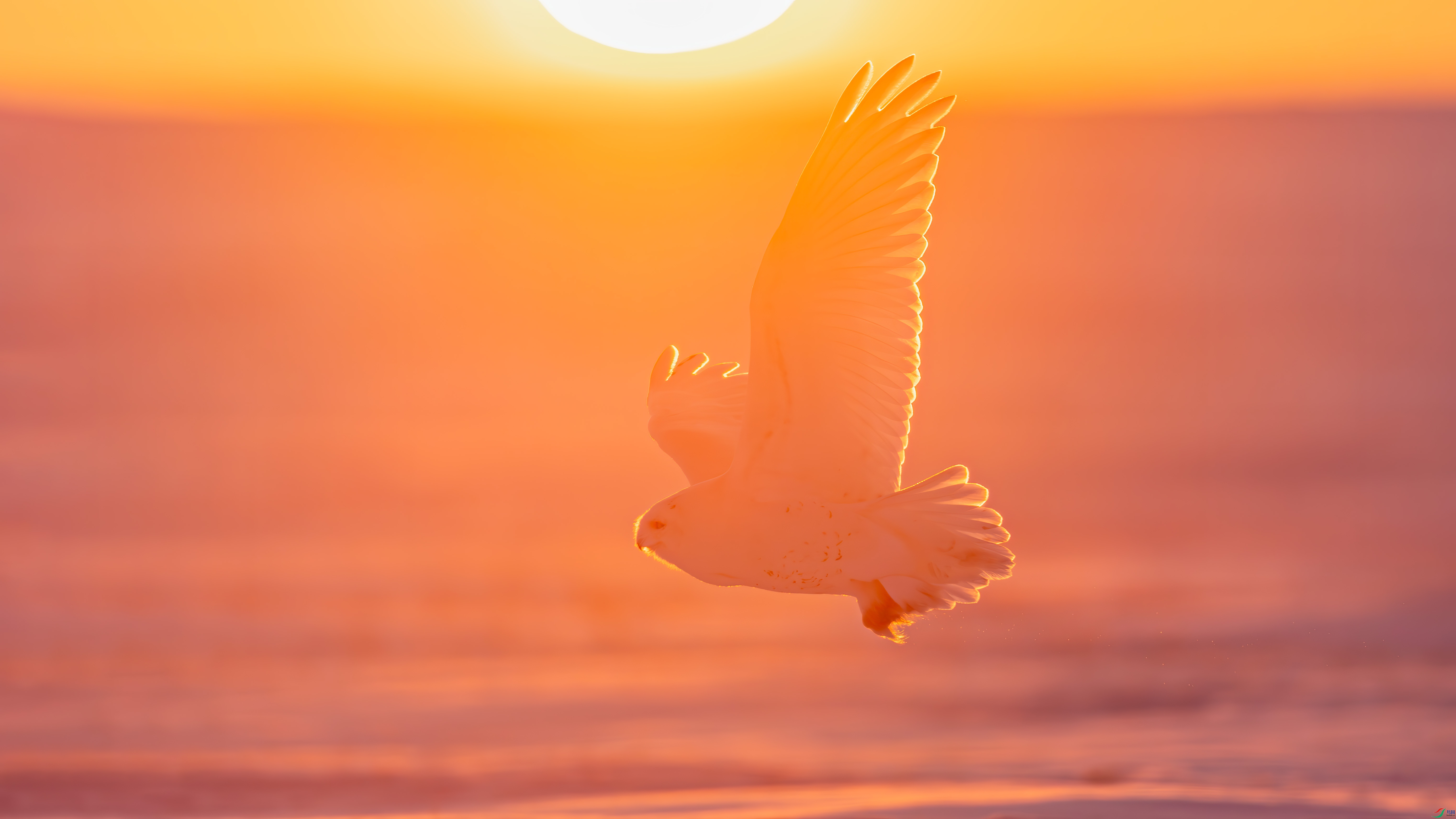 045A6435-1��.jpg