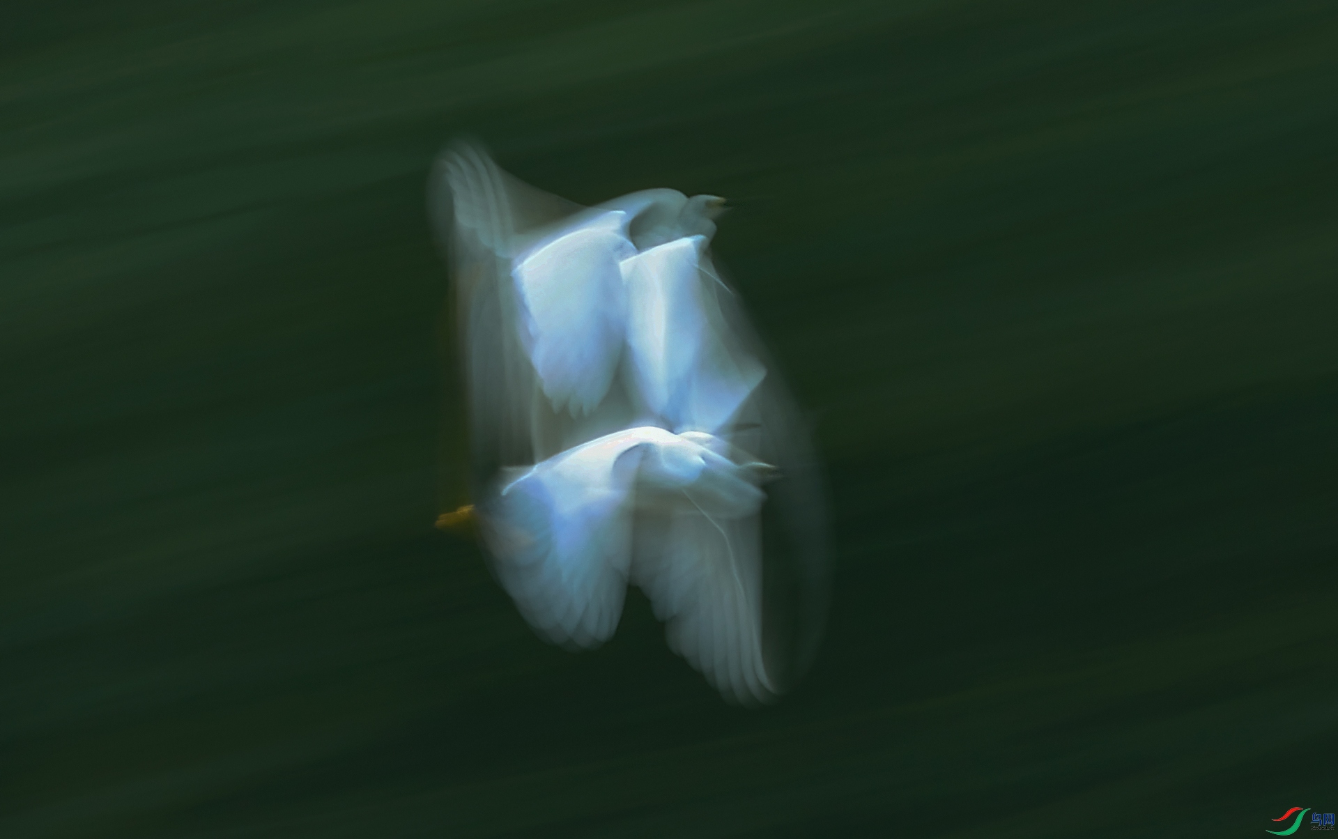 3V4A8968-20260721������.jpg