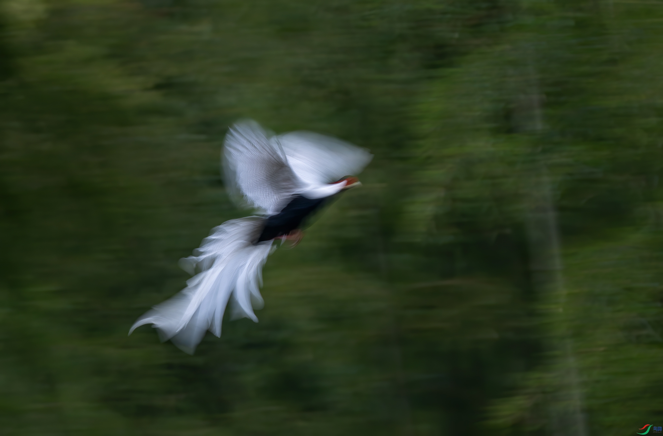 DSC_75271.jpg