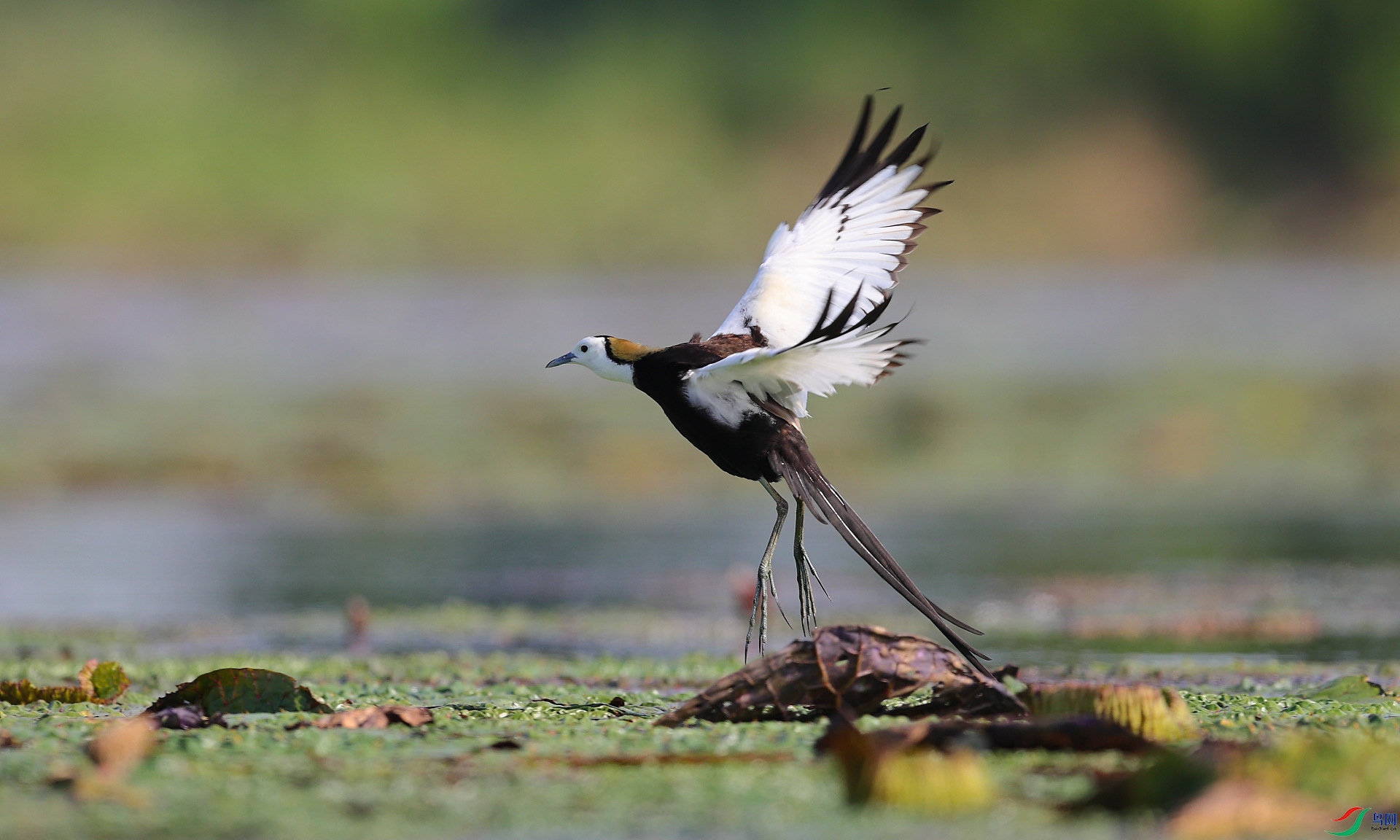 AC1I482һ.JPG