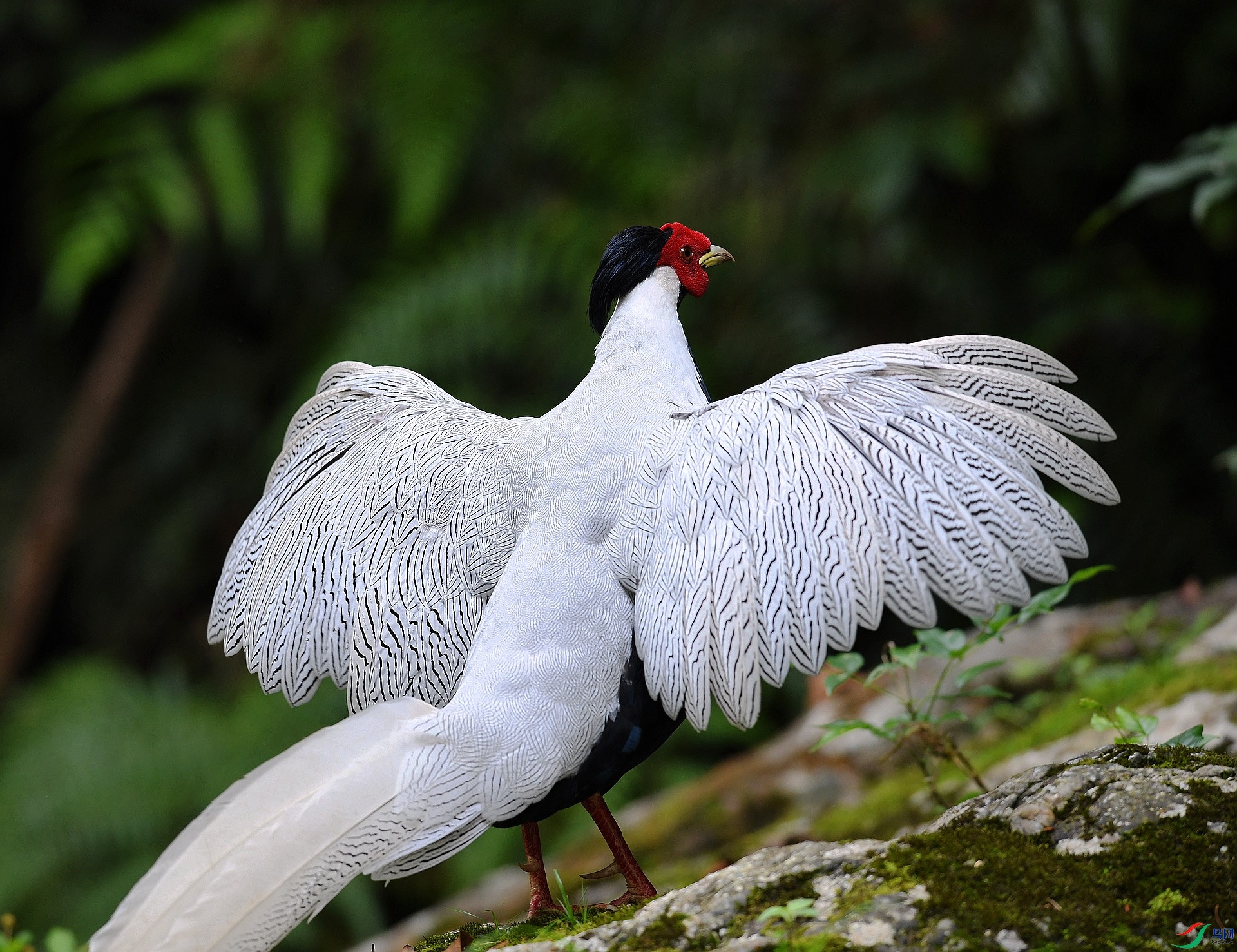 DSC_3245.jpg