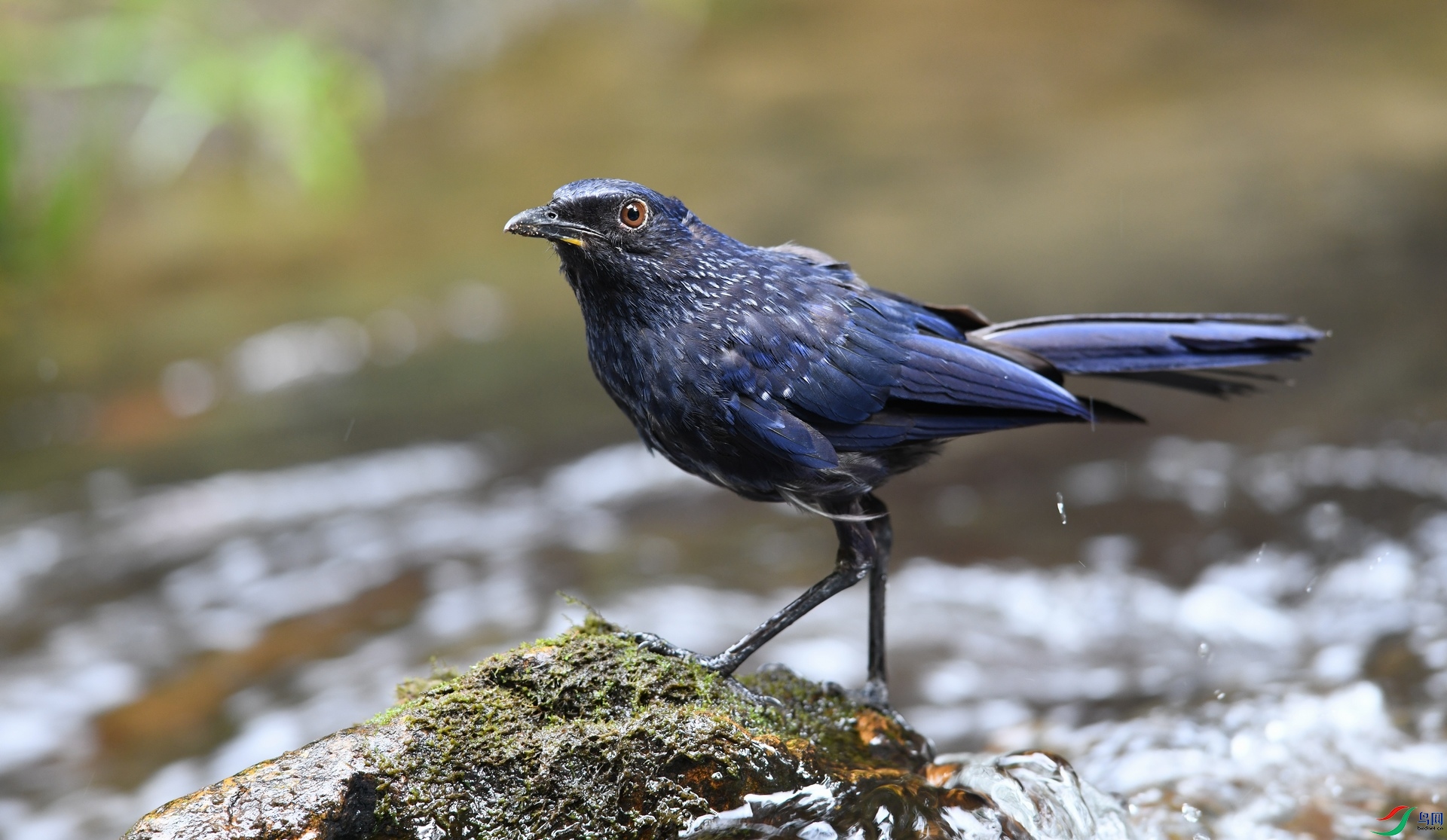 DSC_3659.jpg
