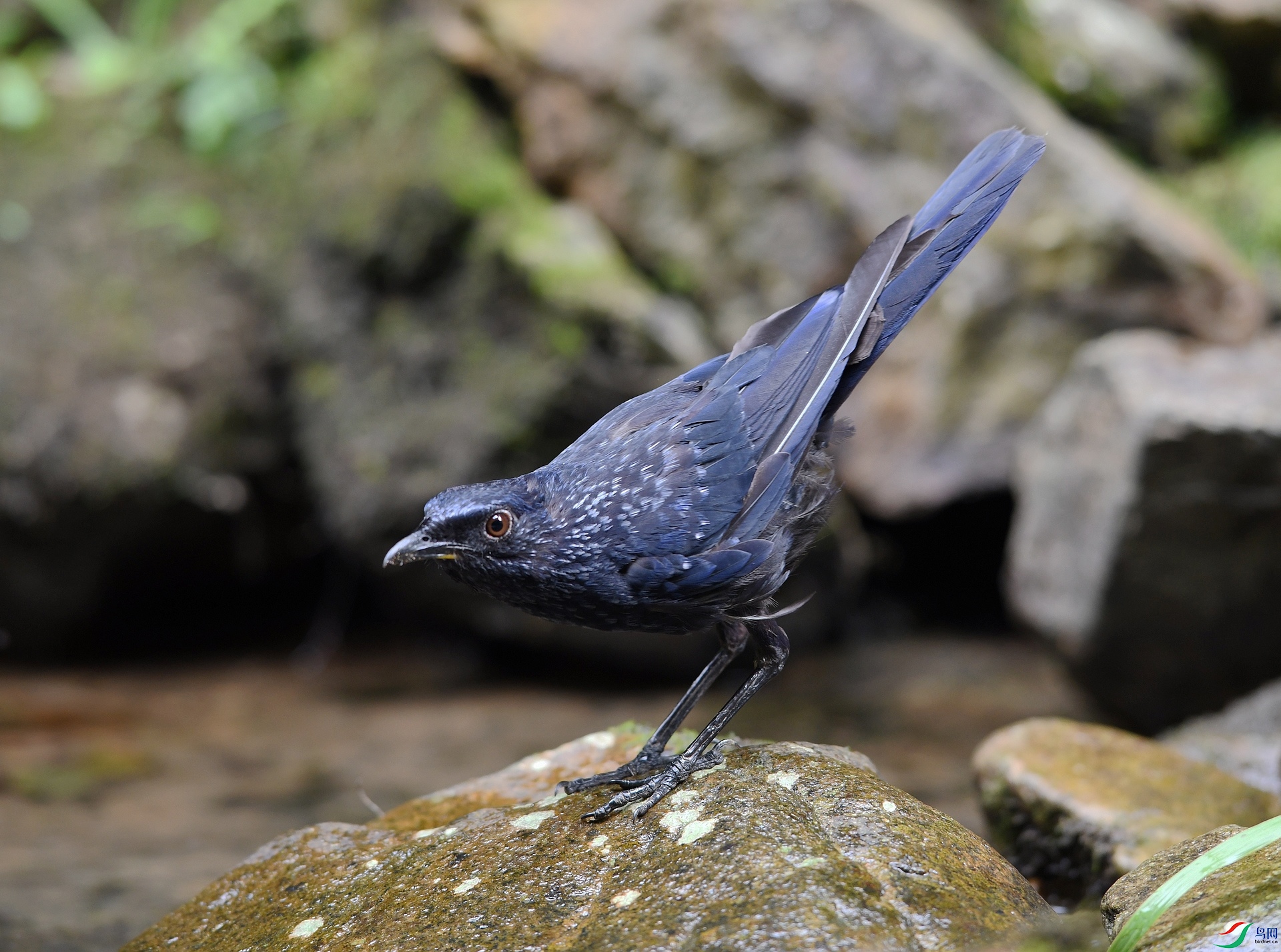 DSC_3656.jpg