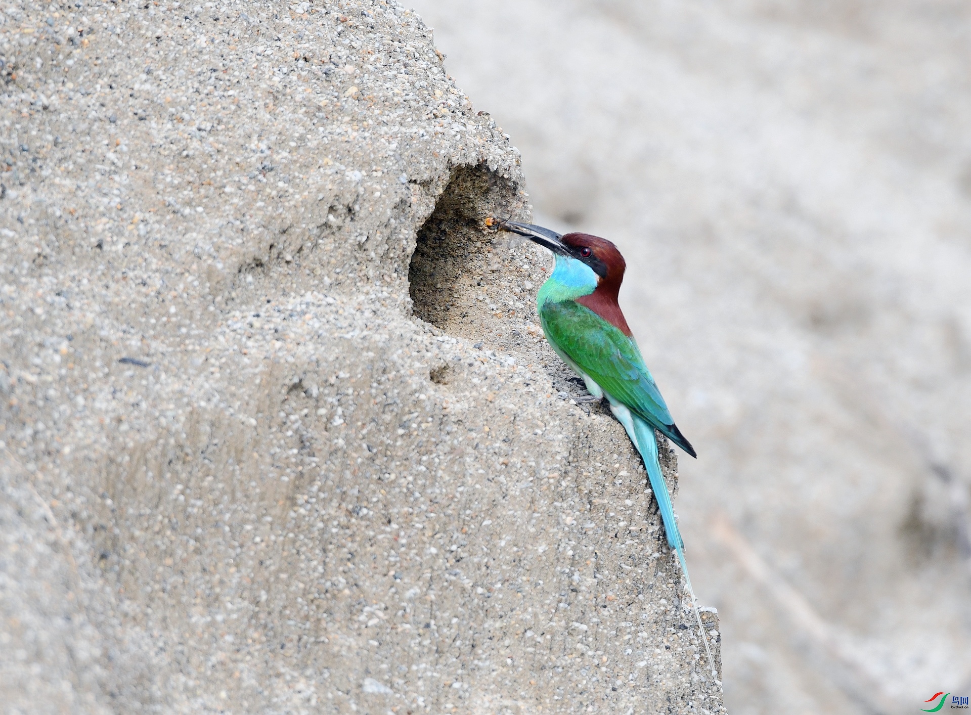 DSC_1682.jpg