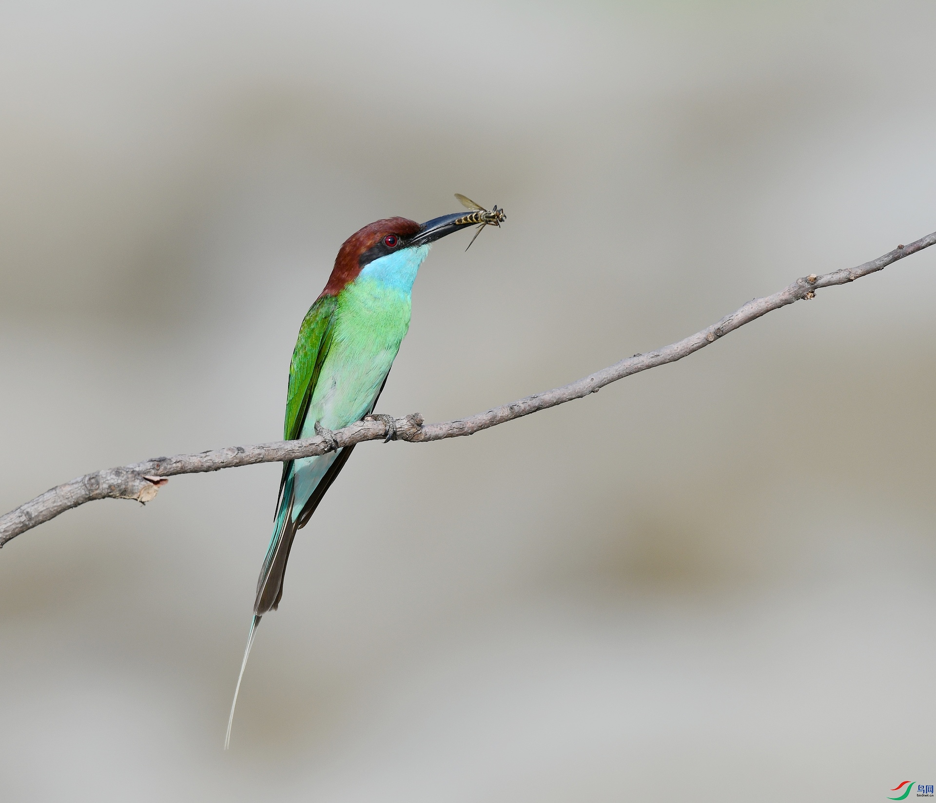 DSC_3219.jpg