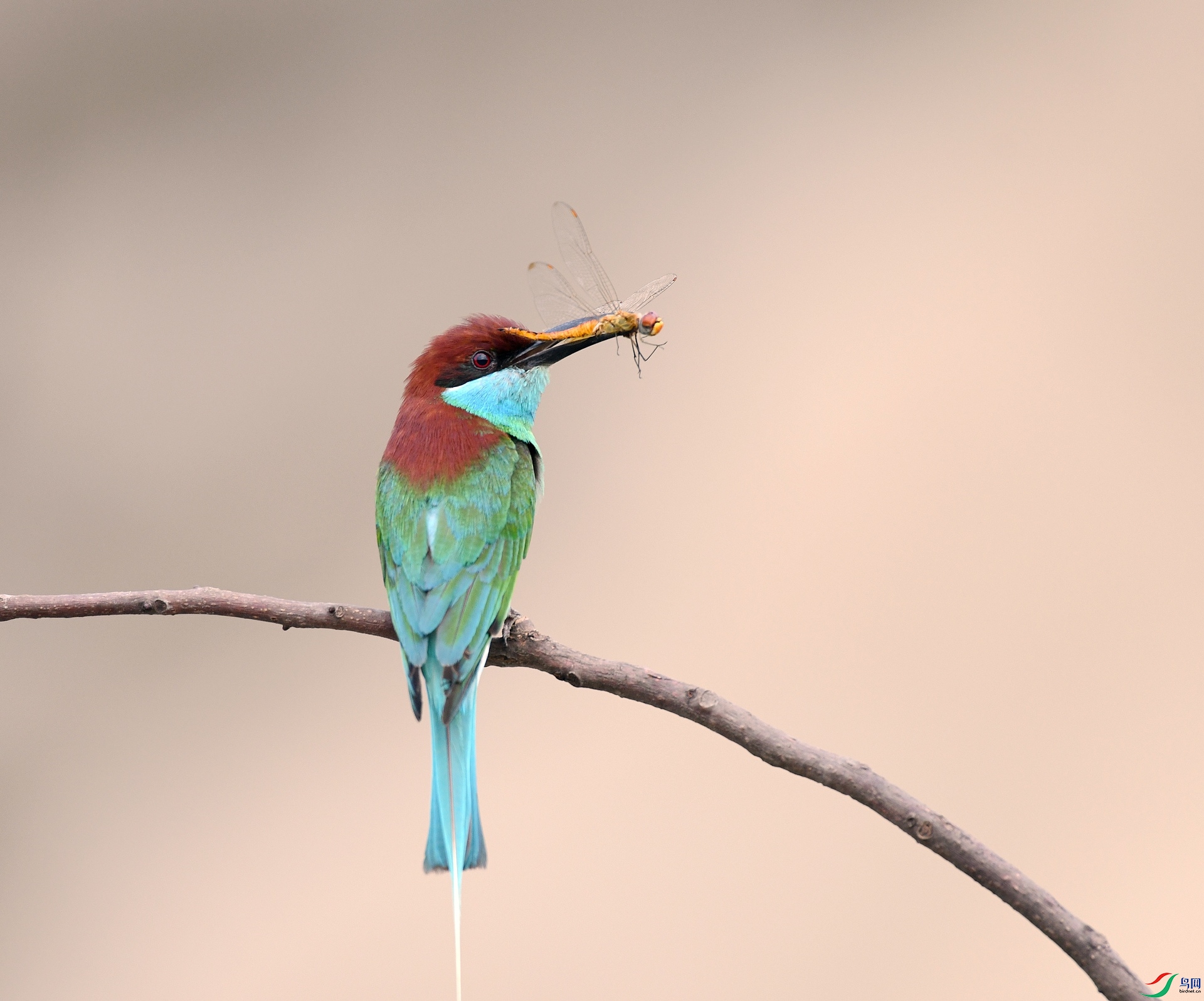 DSC_2057.jpg
